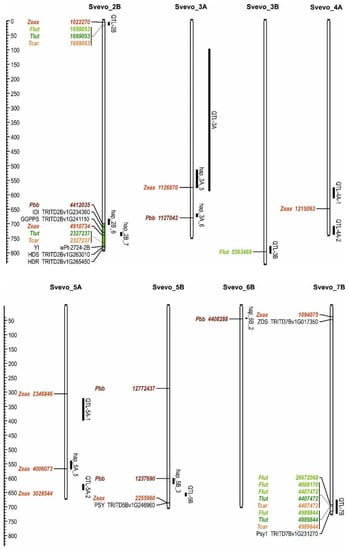 Plants 11 02065 g005 550