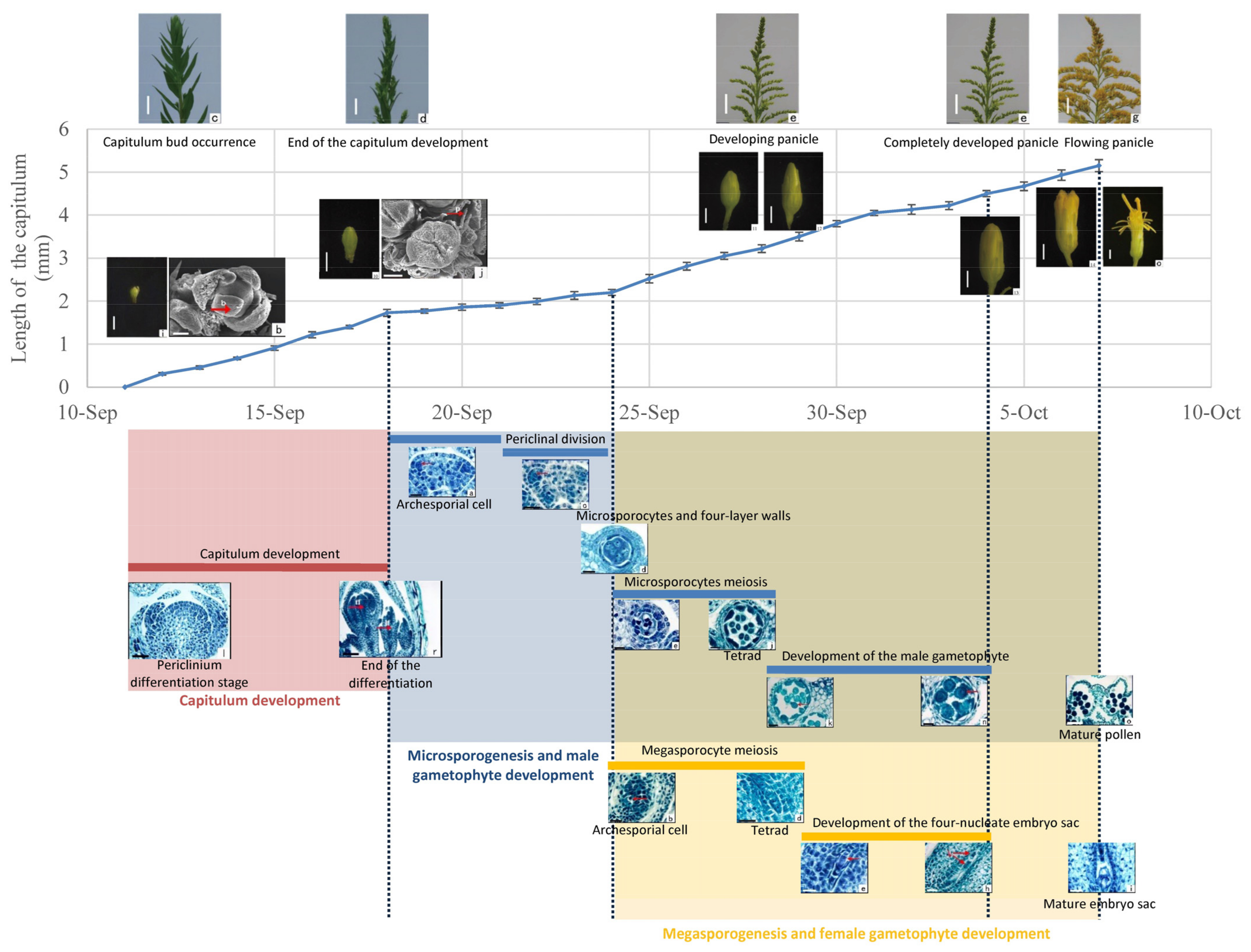 Plants 11 02073 g005