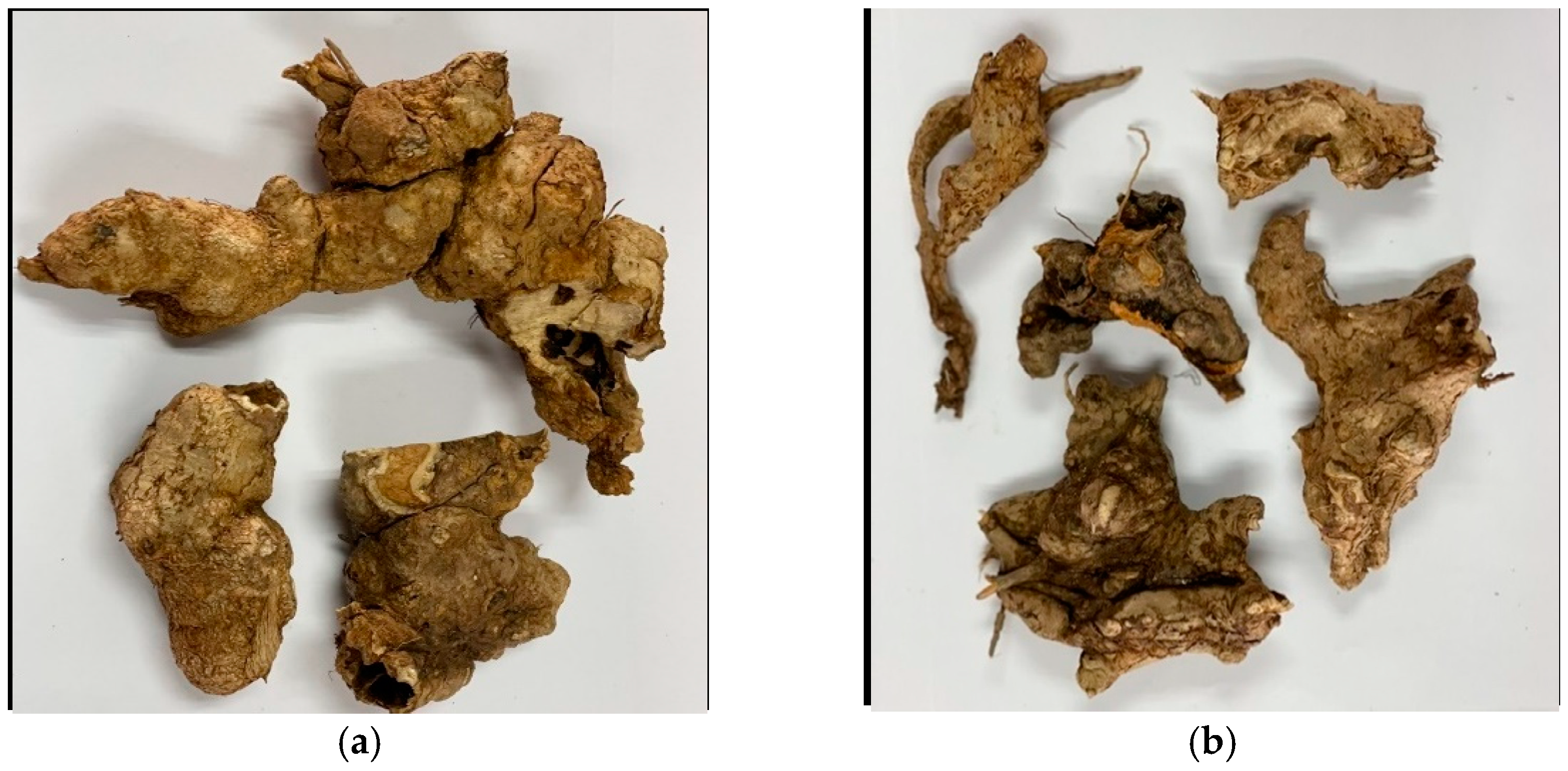 Plants 11 02089 g003