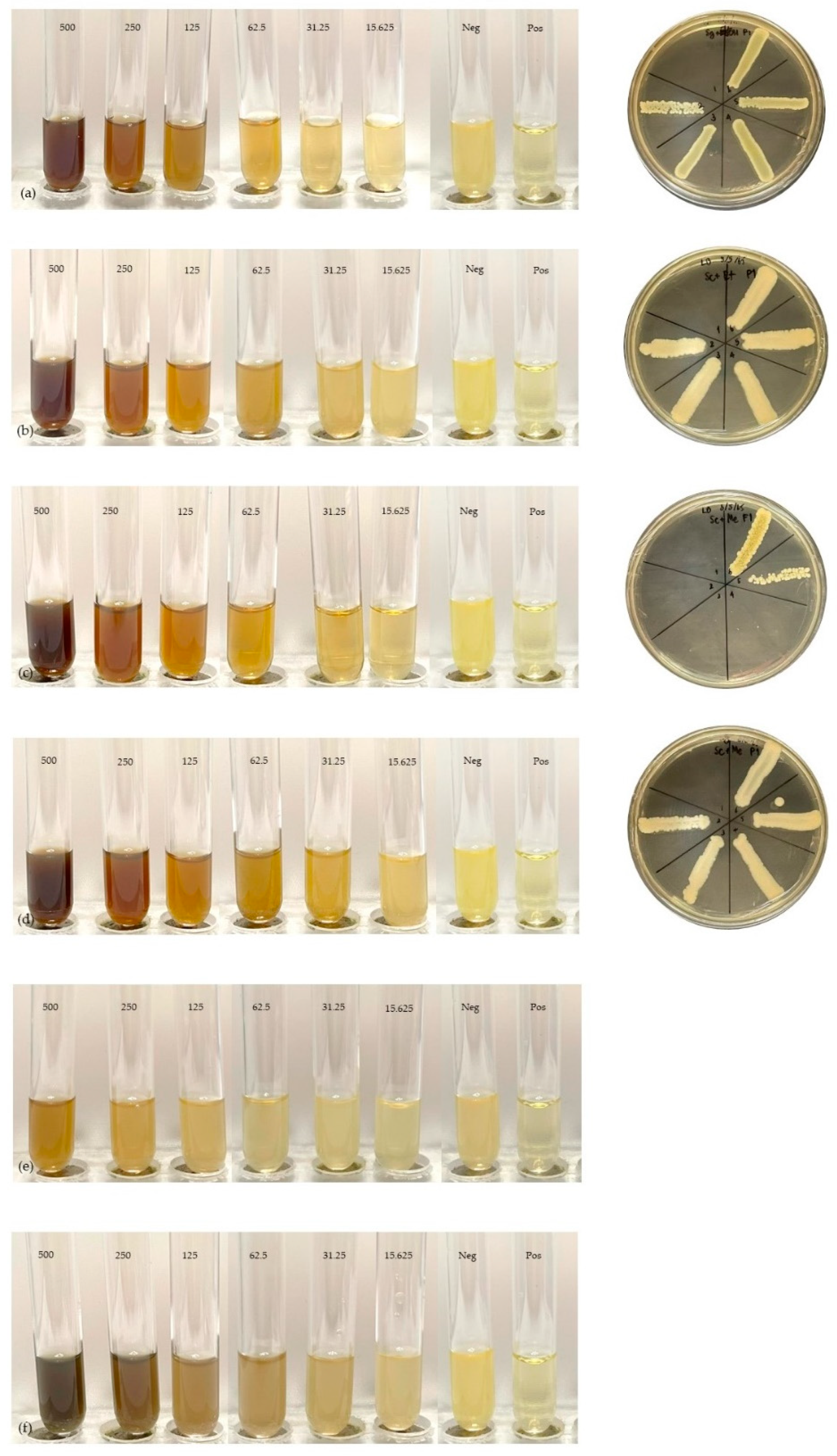 Plants 11 02089 g005