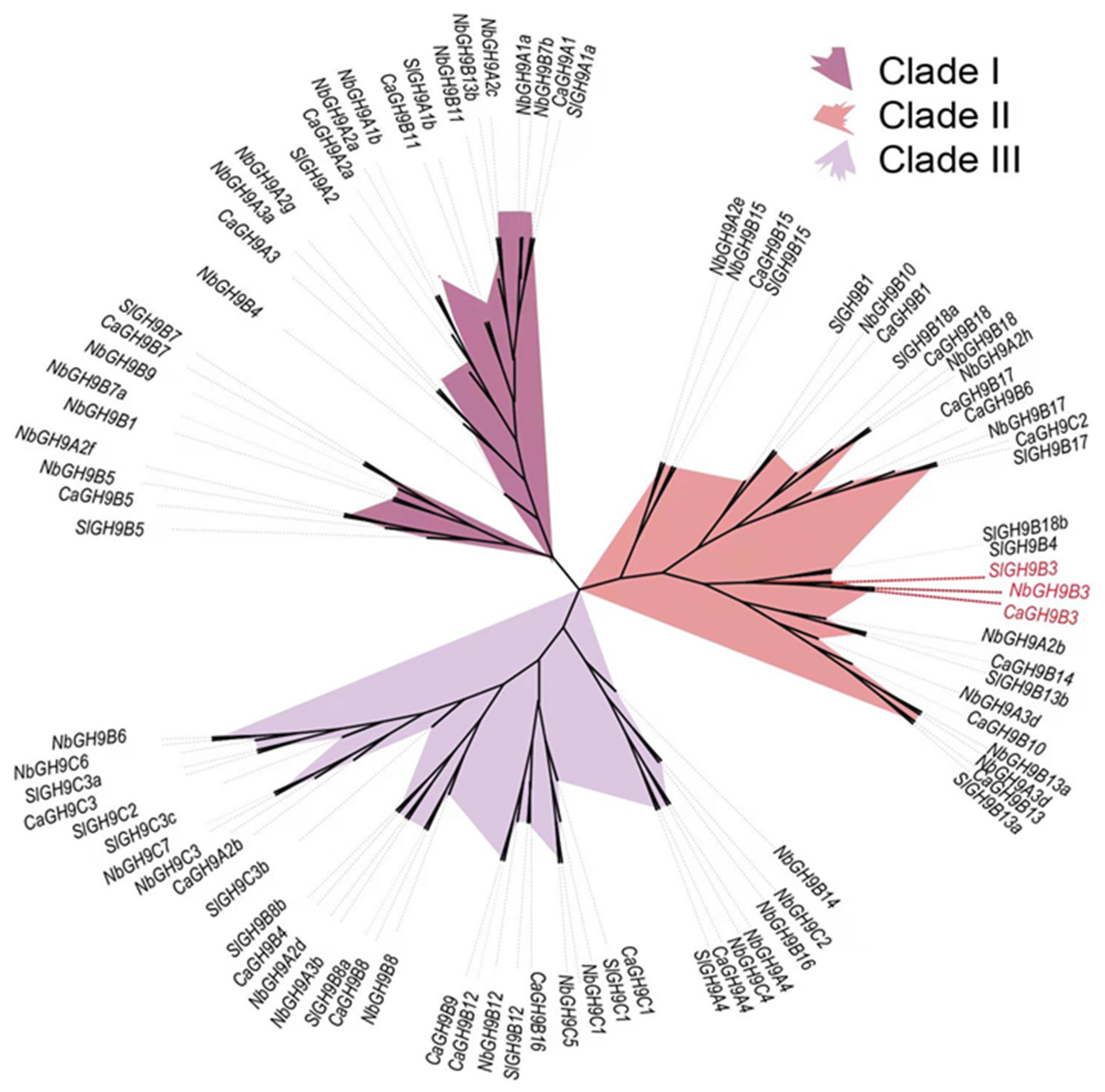 Plants 11 02092 g001