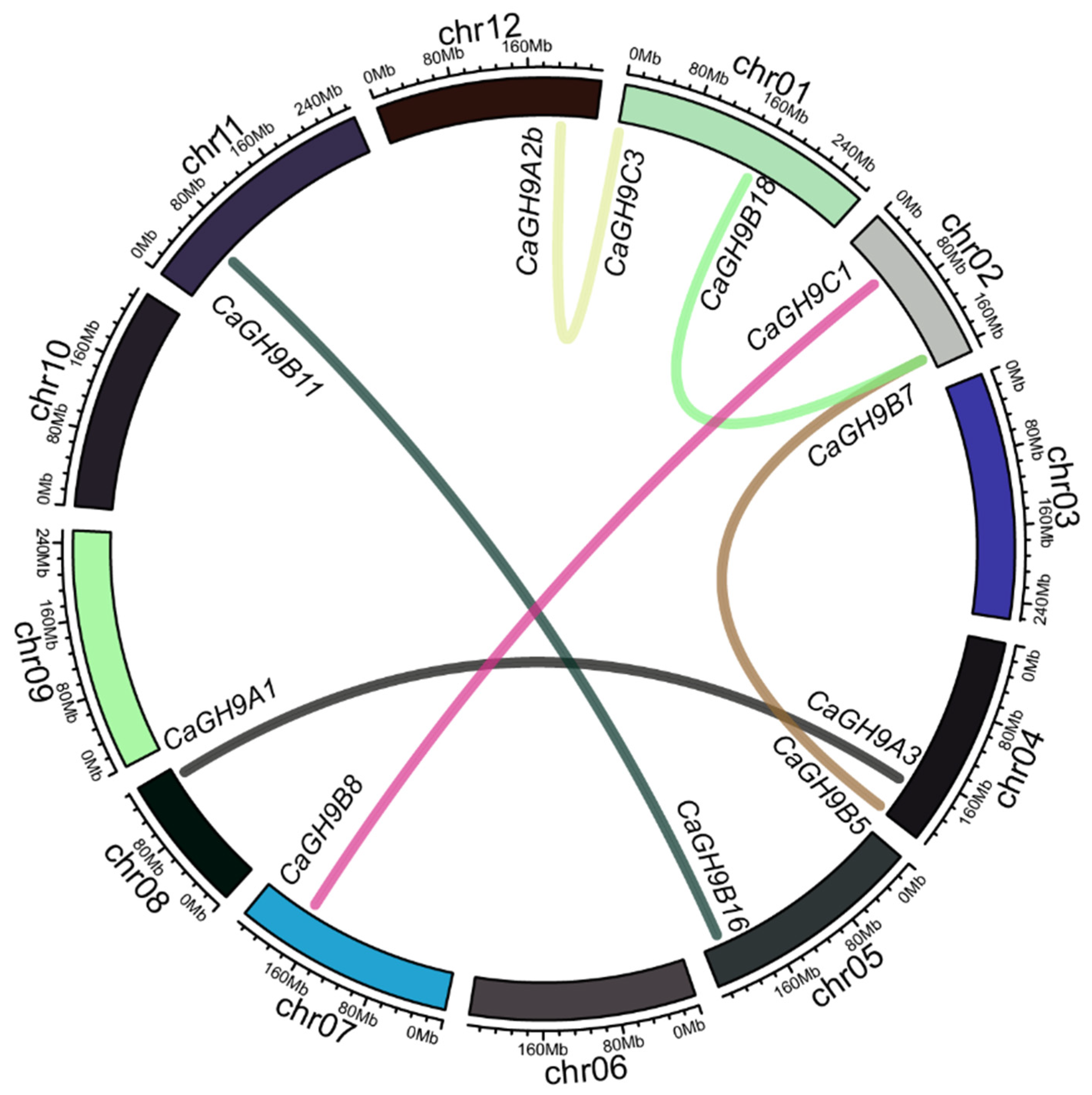 Plants 11 02092 g002