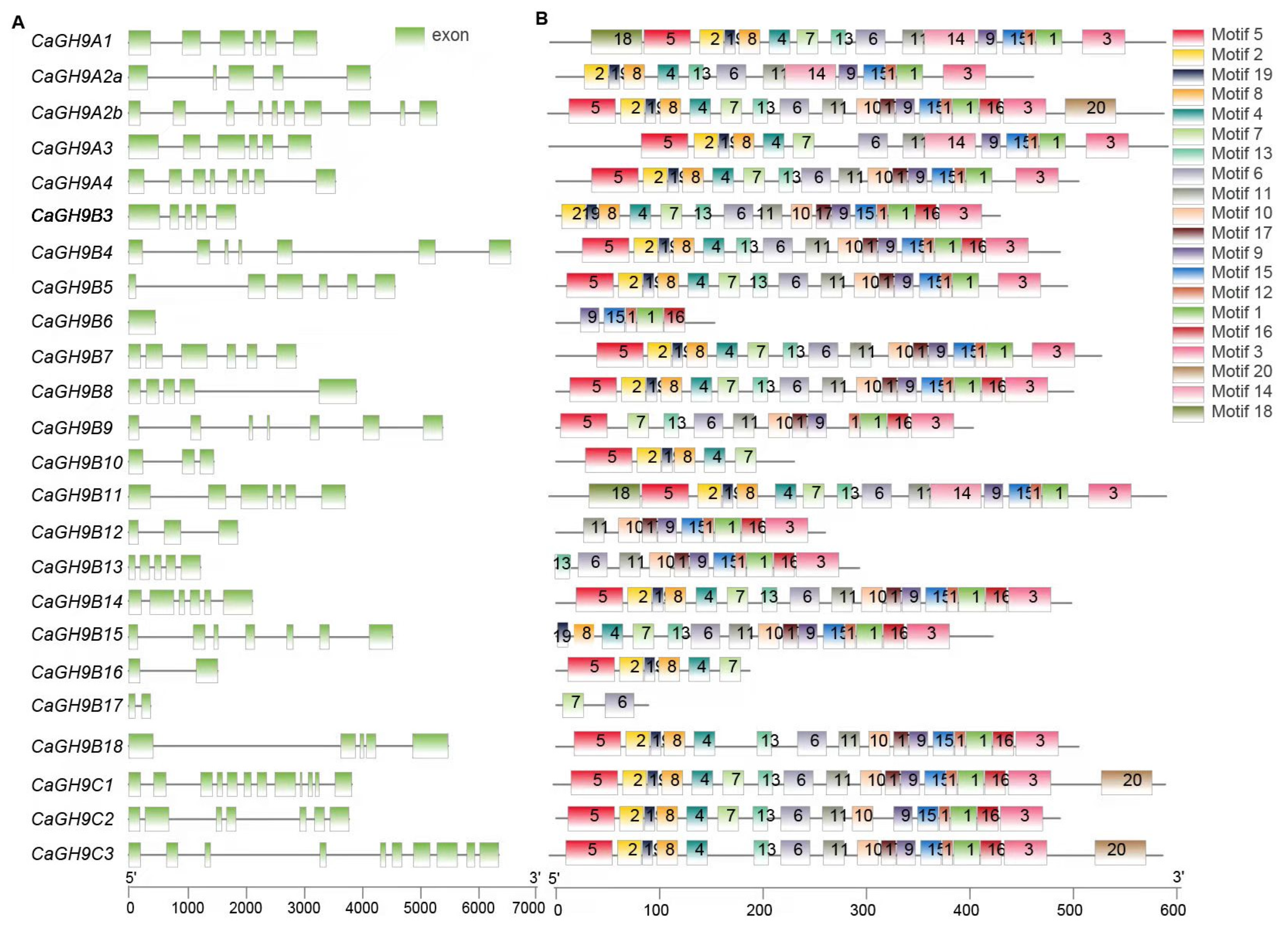 Plants 11 02092 g003