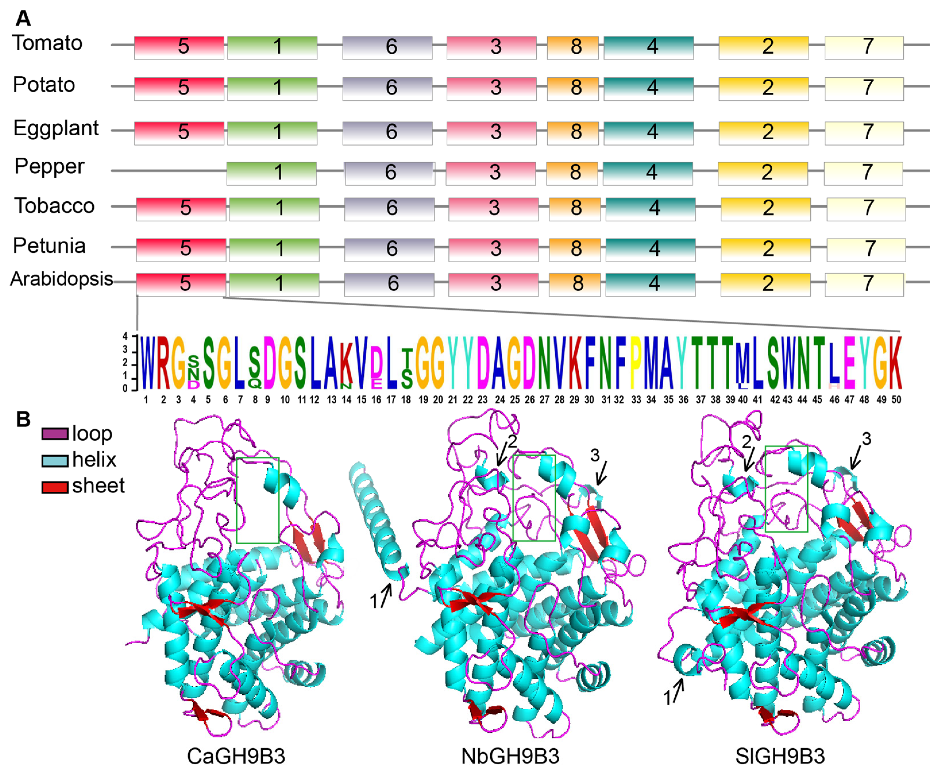 Plants 11 02092 g004