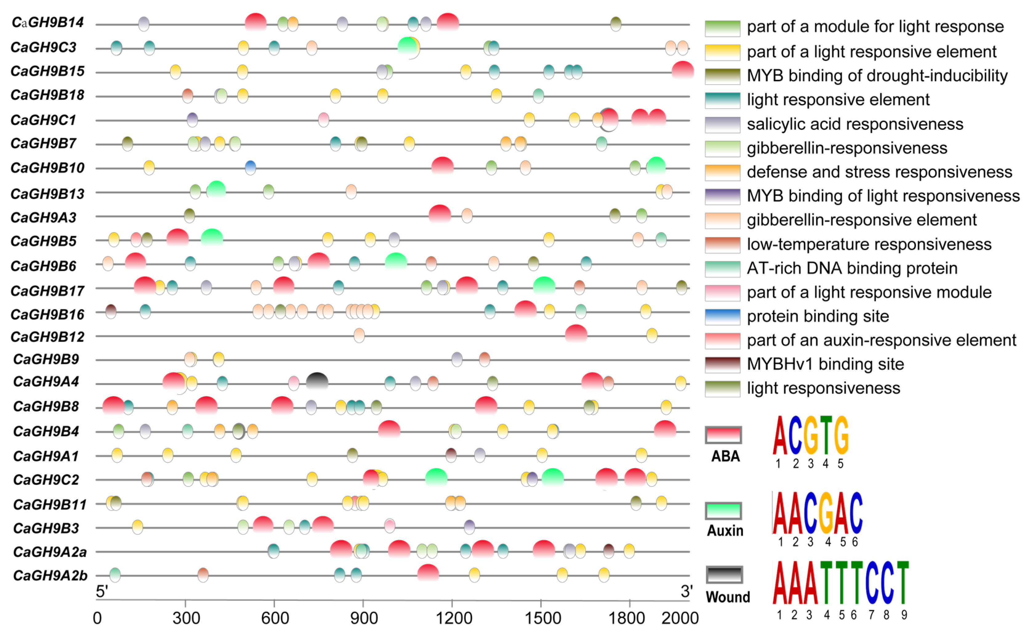 Plants 11 02092 g005