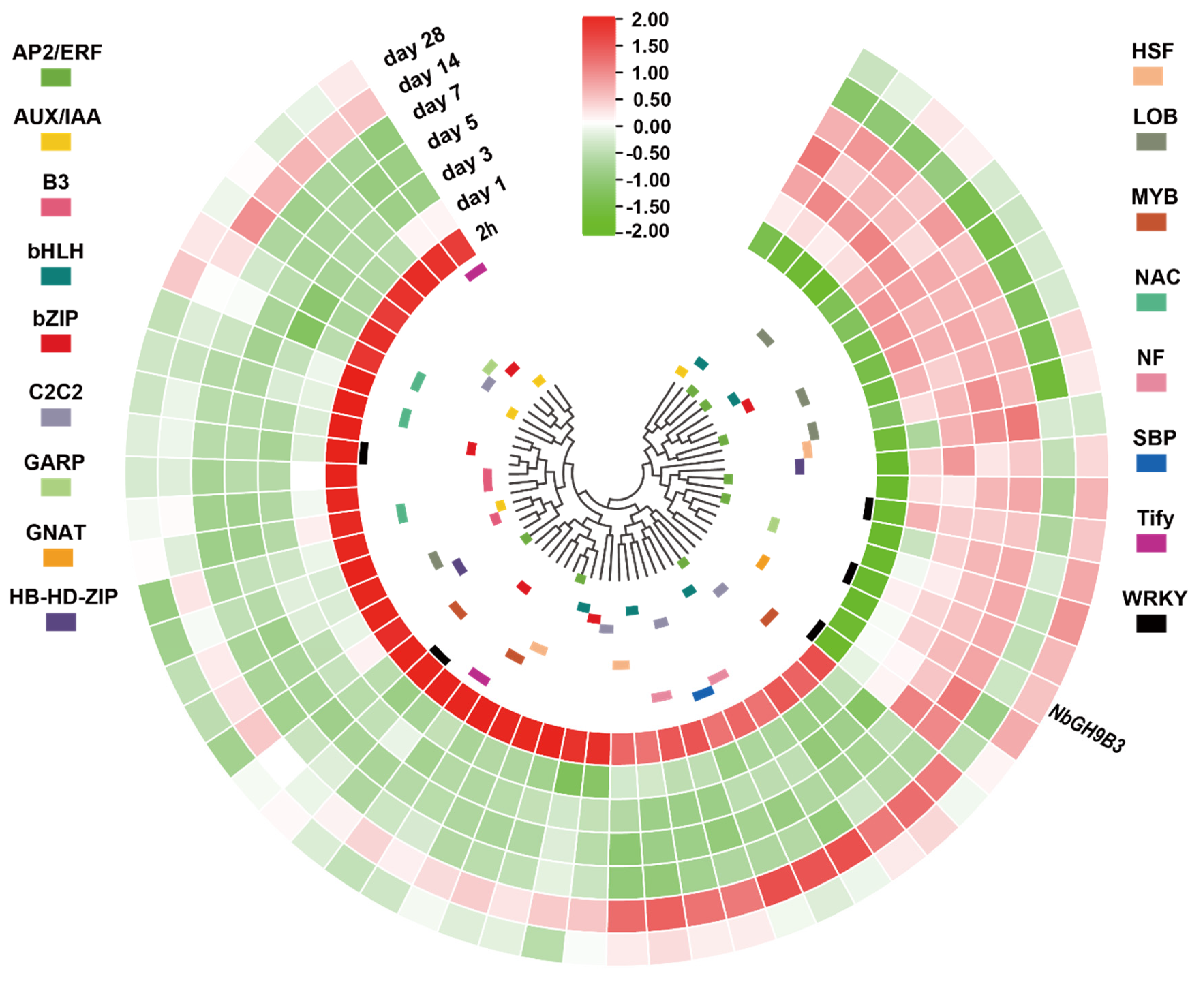 Plants 11 02092 g008