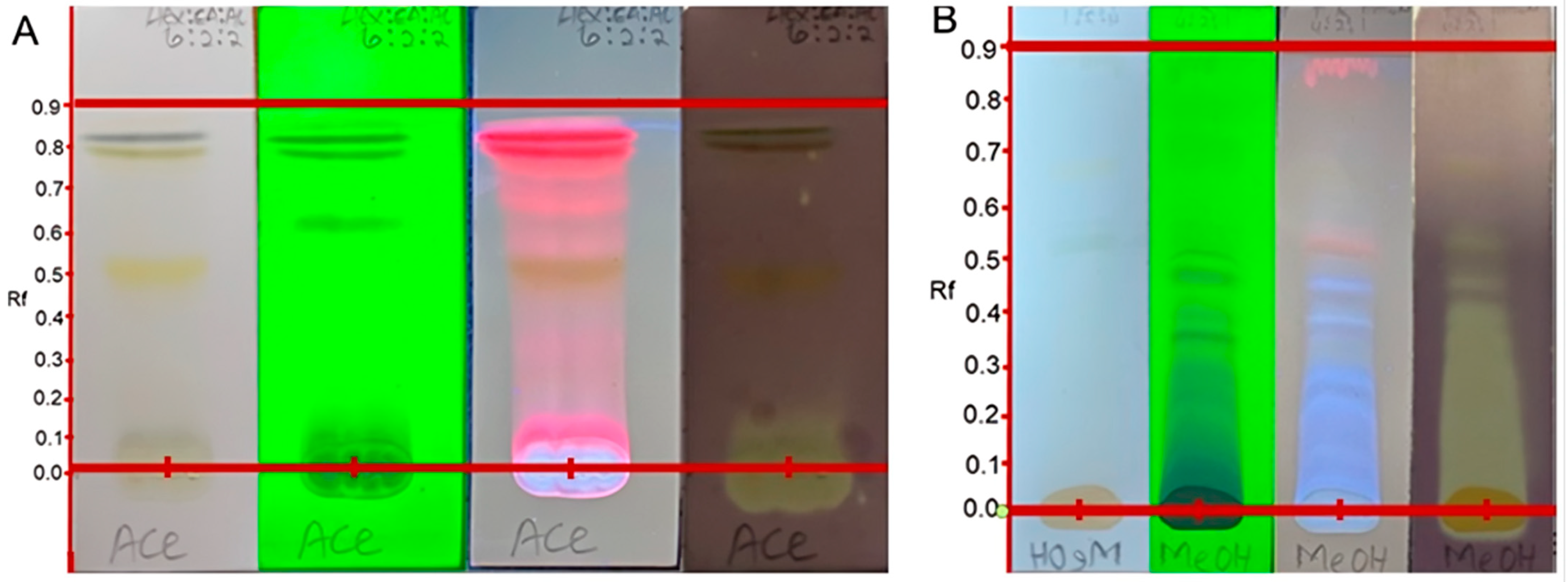 Plants 11 02094 g002