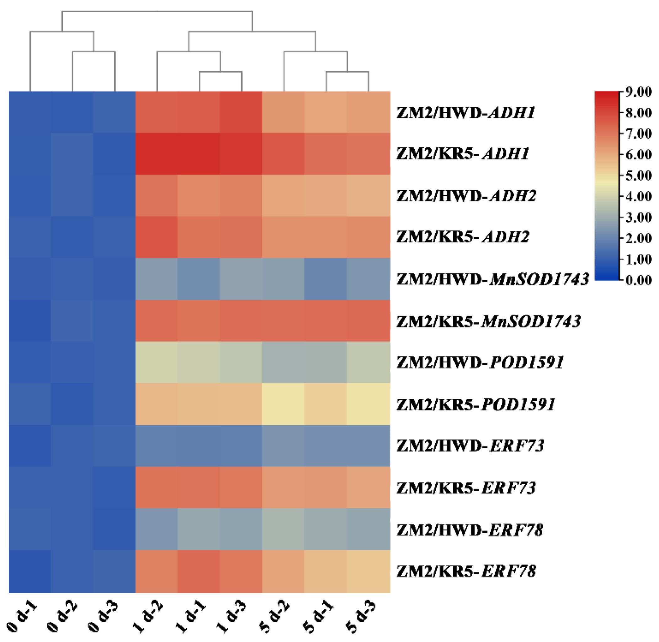 Plants 11 02098 g005