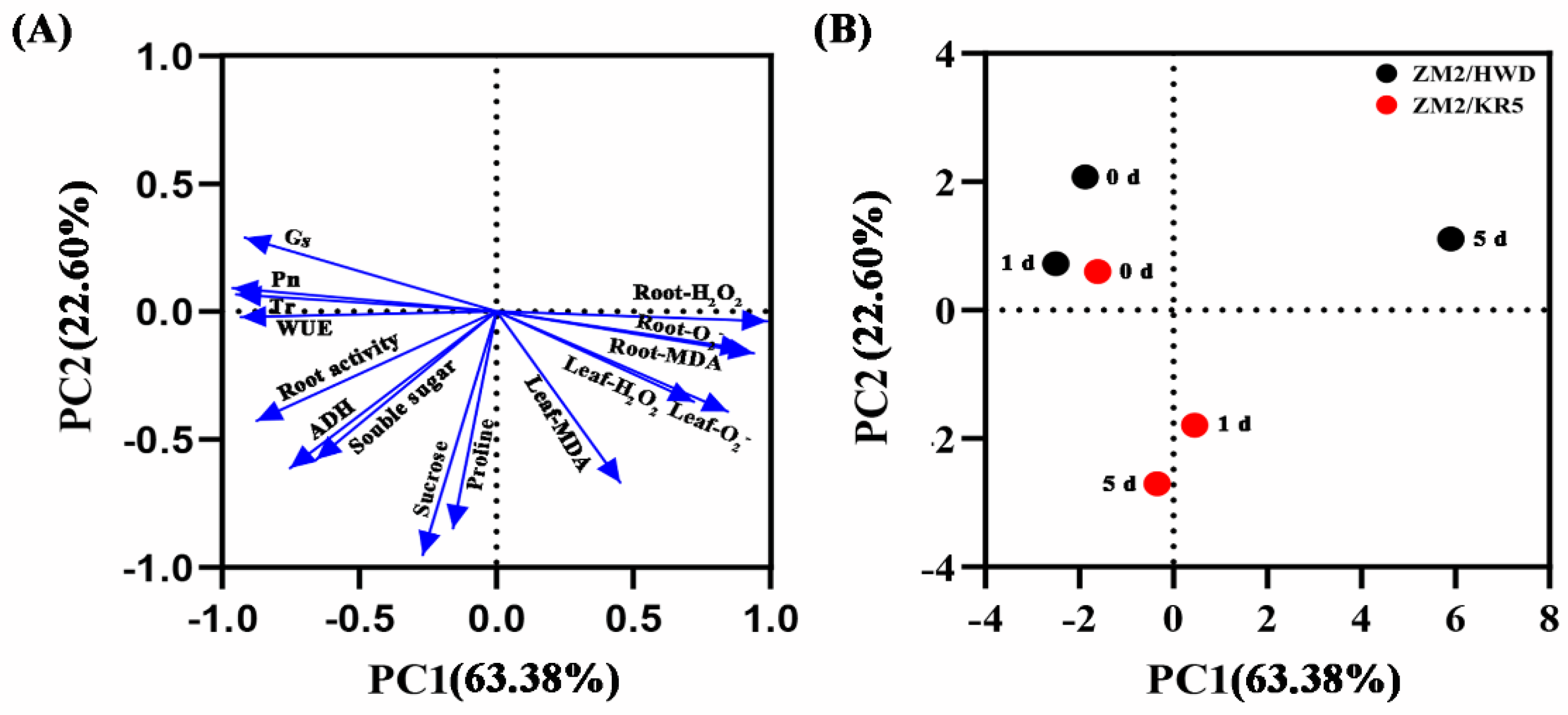 Plants 11 02098 g006
