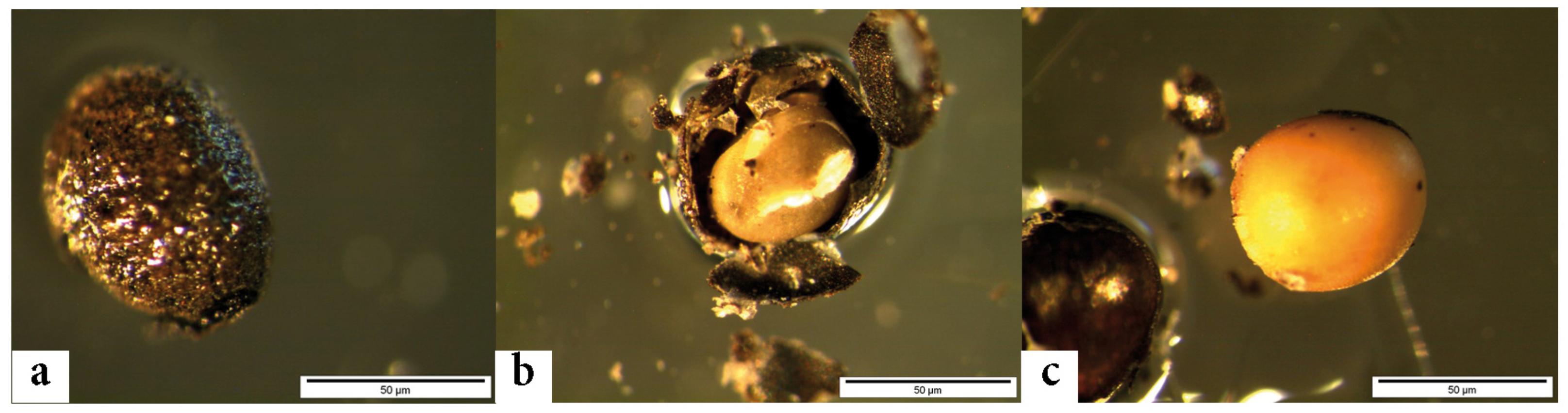 Plants 11 02100 g006