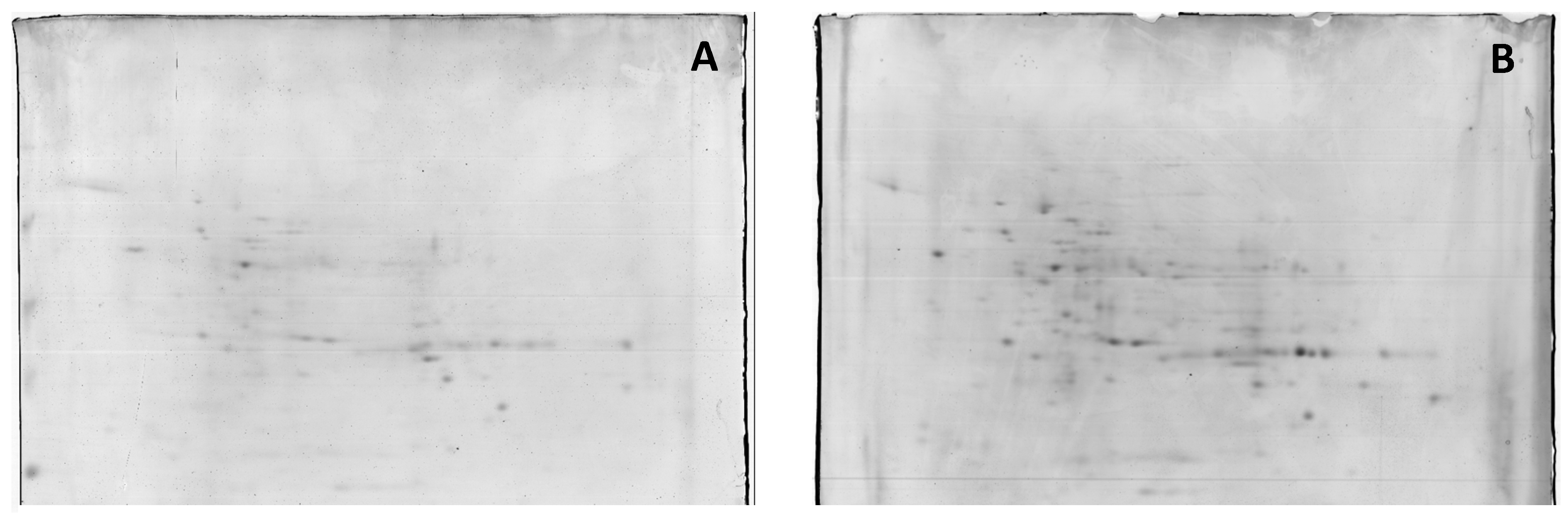 Plants 11 02101 g002