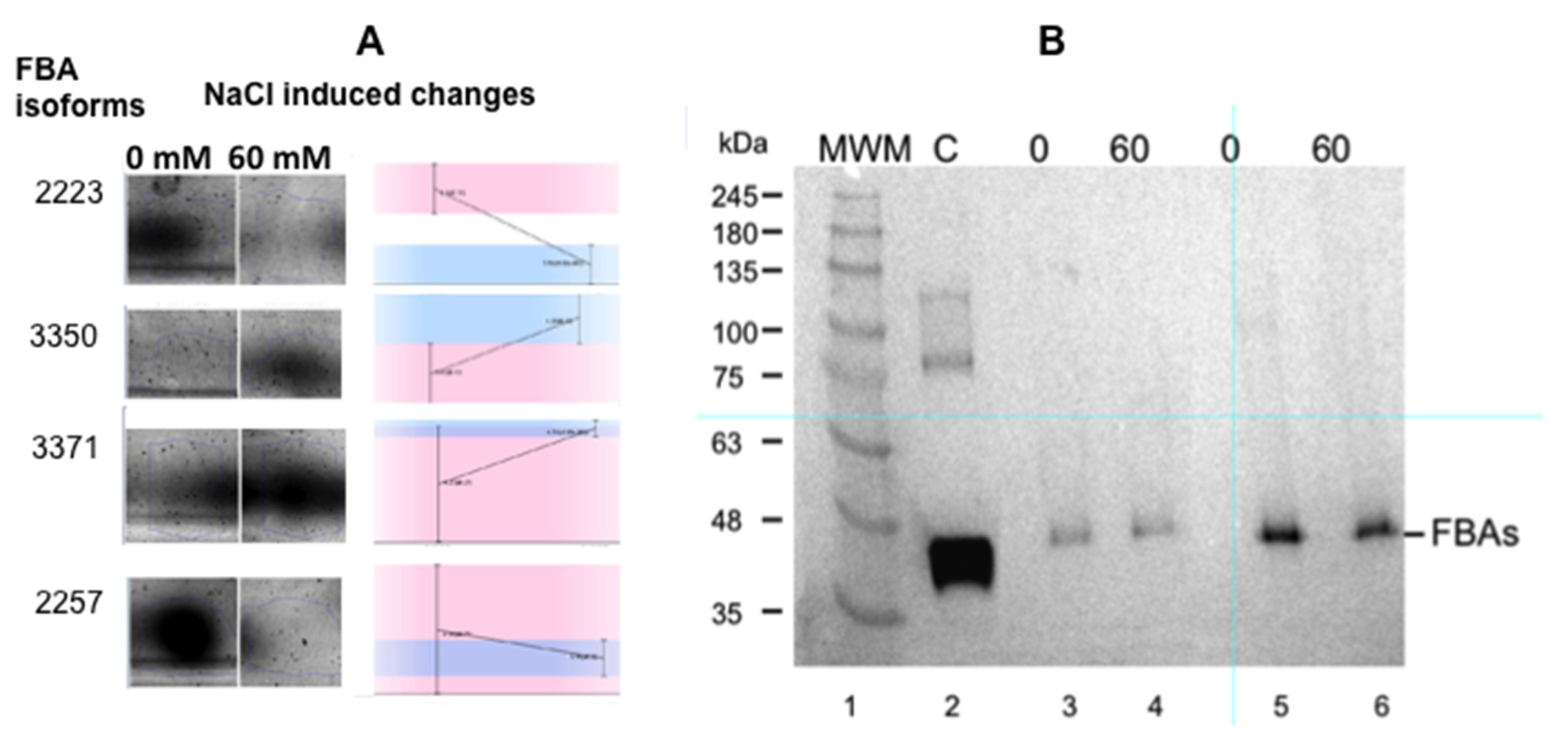 Plants 11 02101 g003