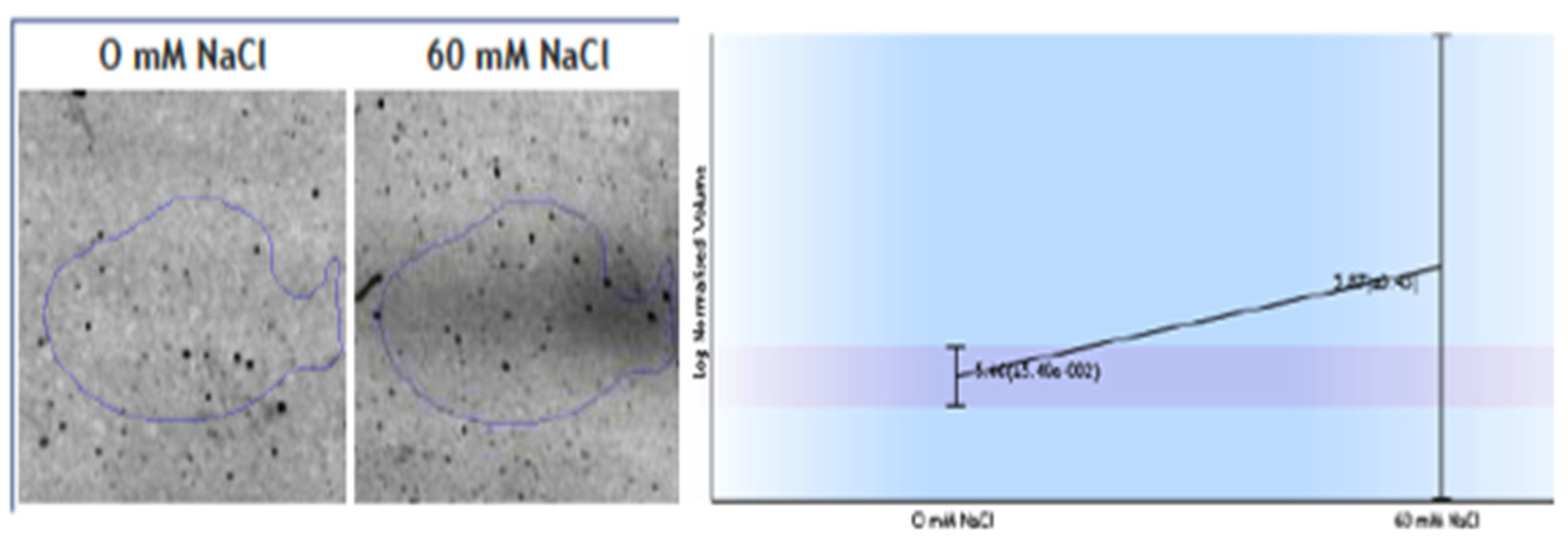 Plants 11 02101 g004