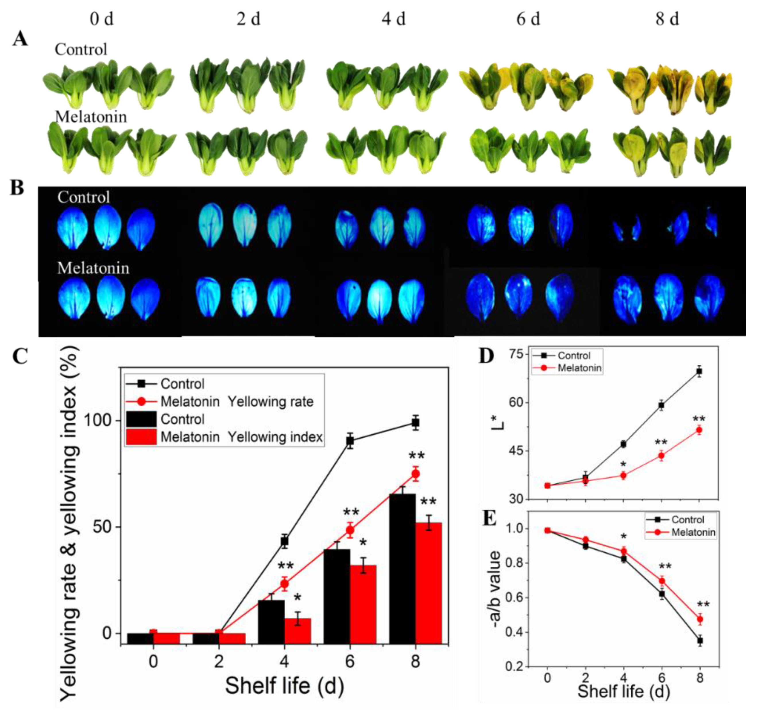 Plants 11 02102 g001