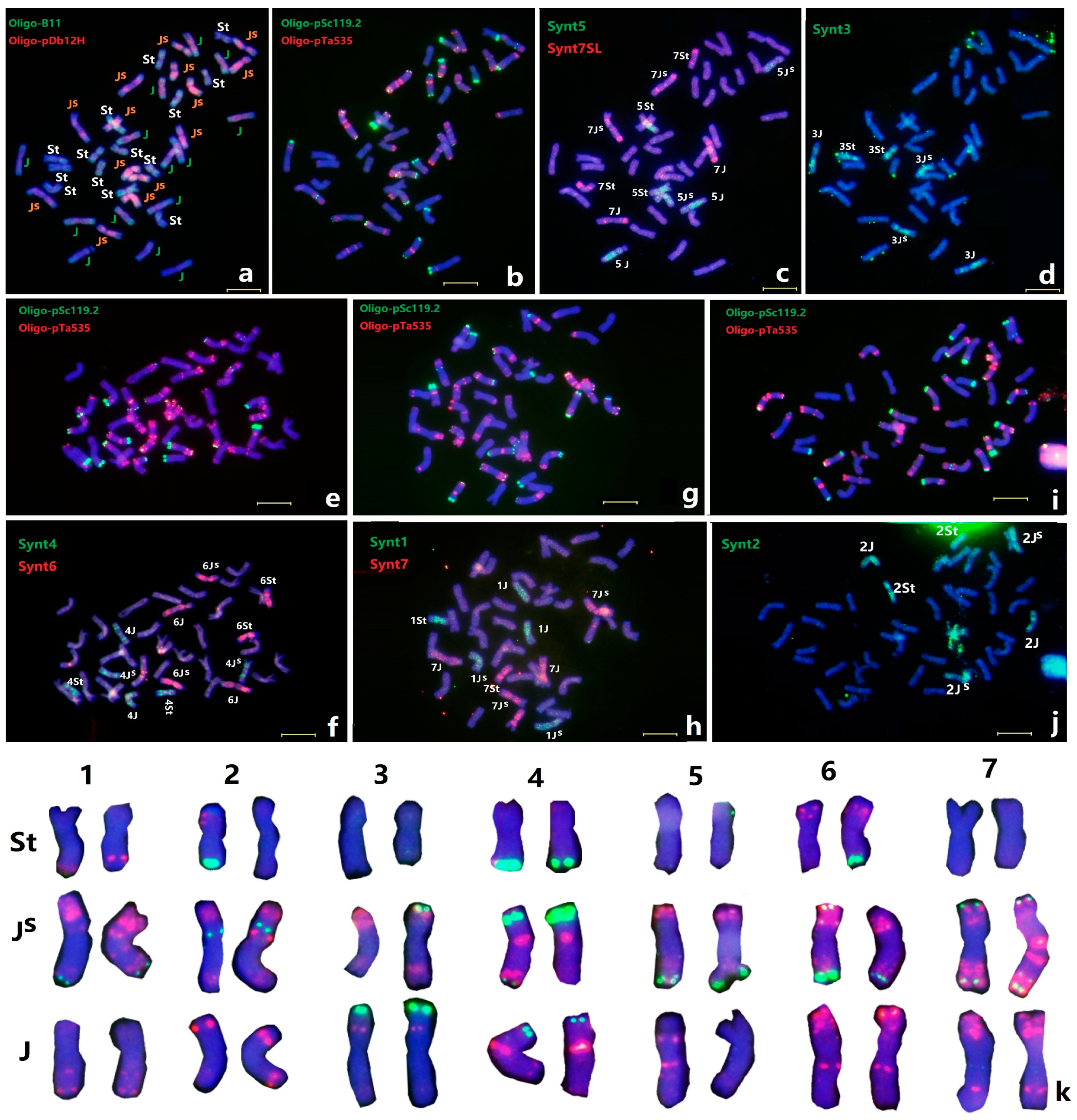 Plants 11 02109 g001