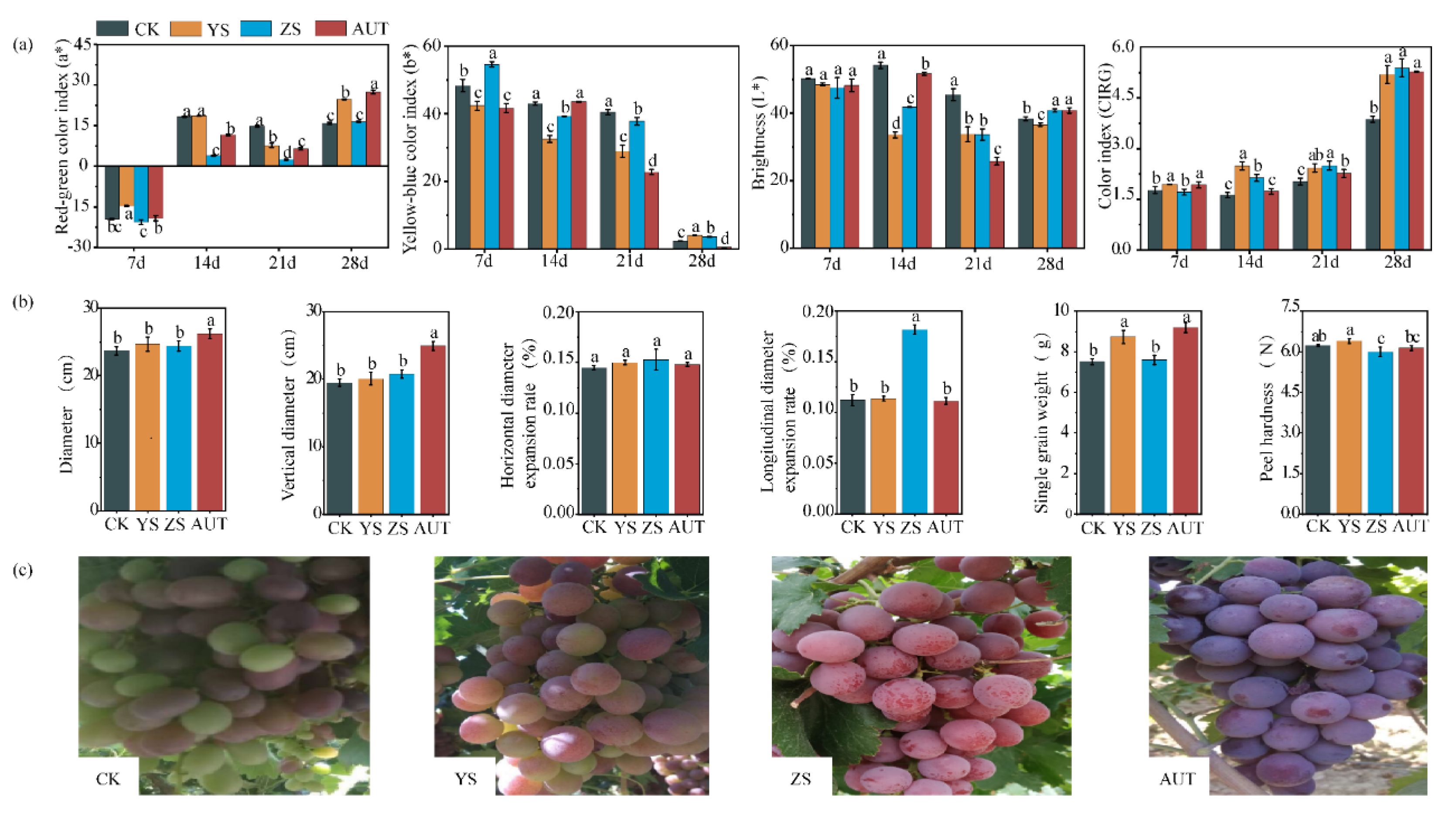 Plants 11 02115 g002