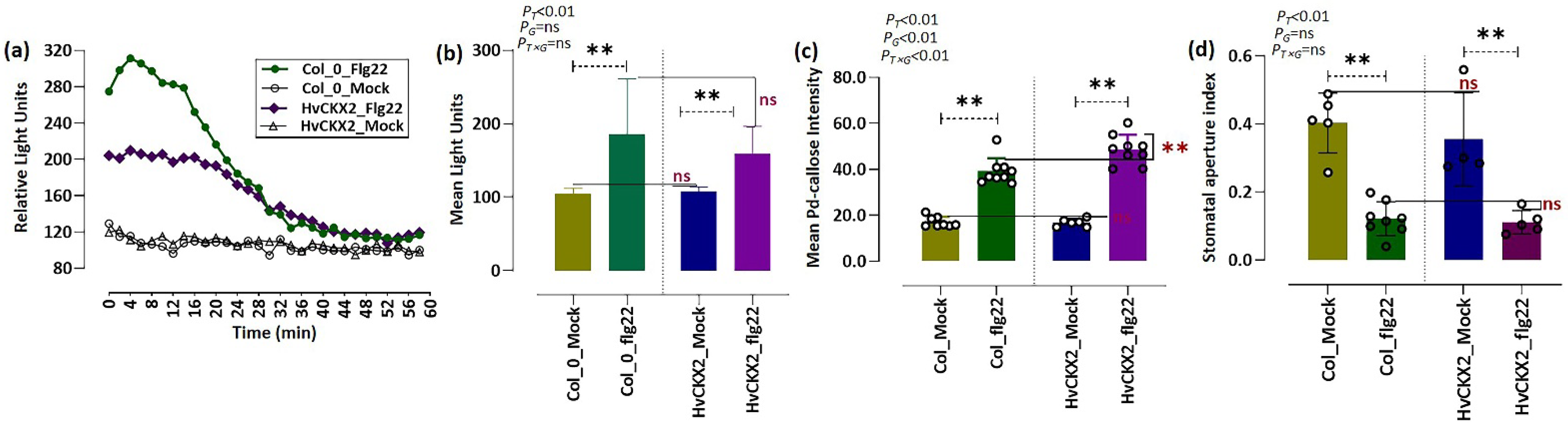 Plants 11 02123 g001