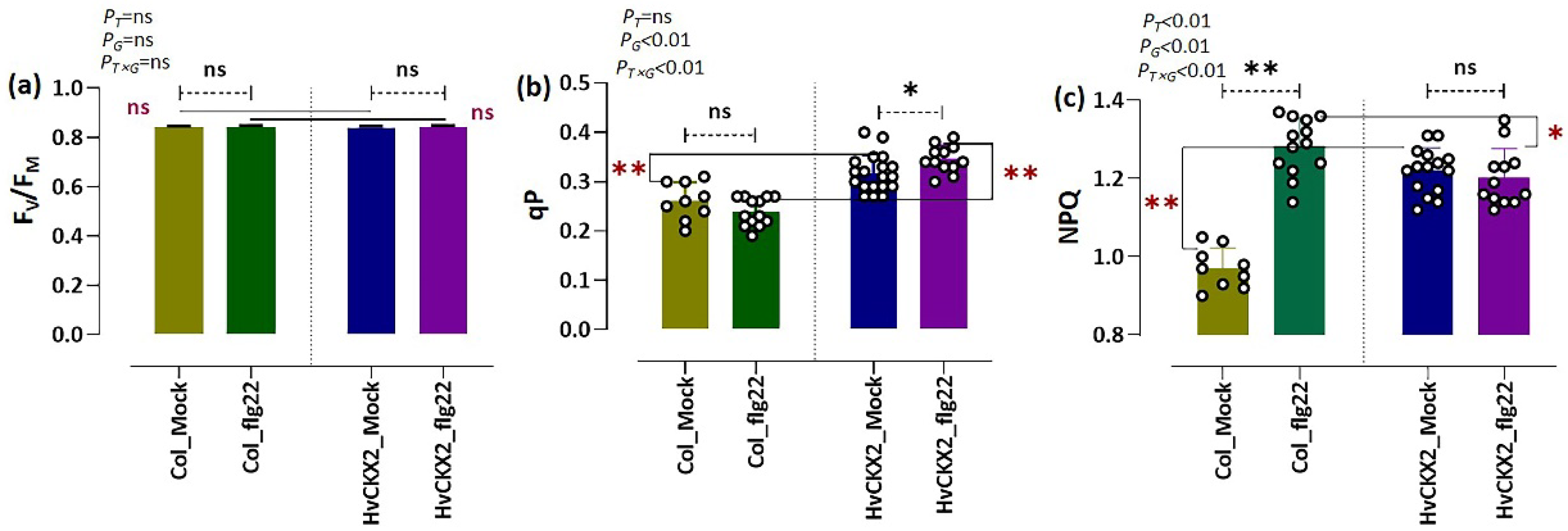 Plants 11 02123 g003
