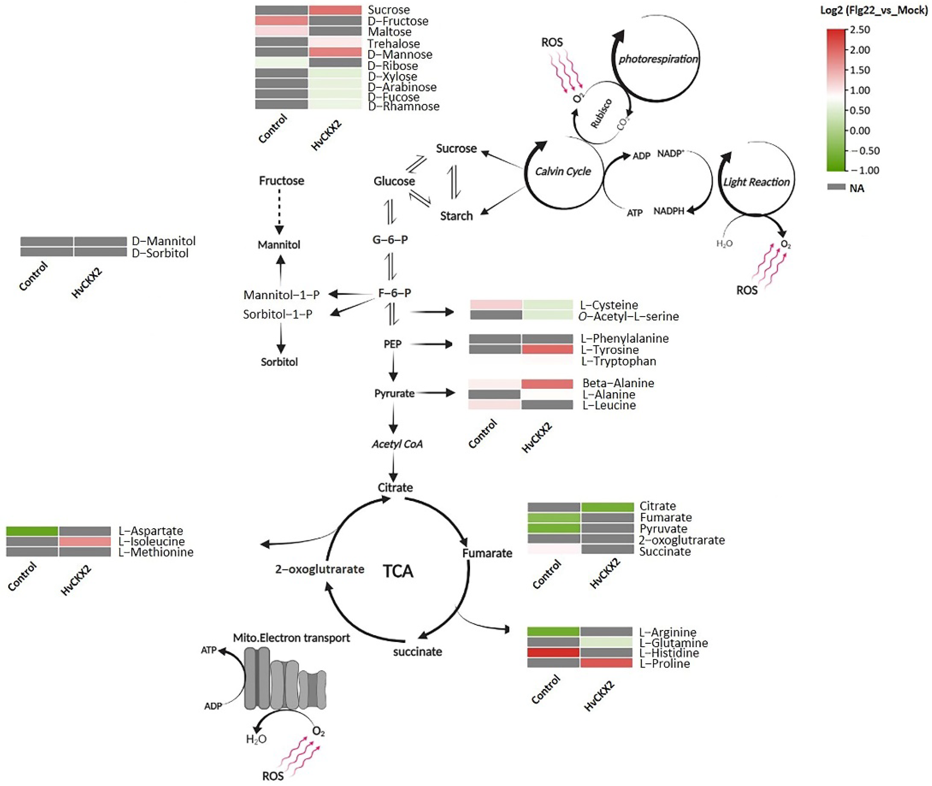 Plants 11 02123 g005