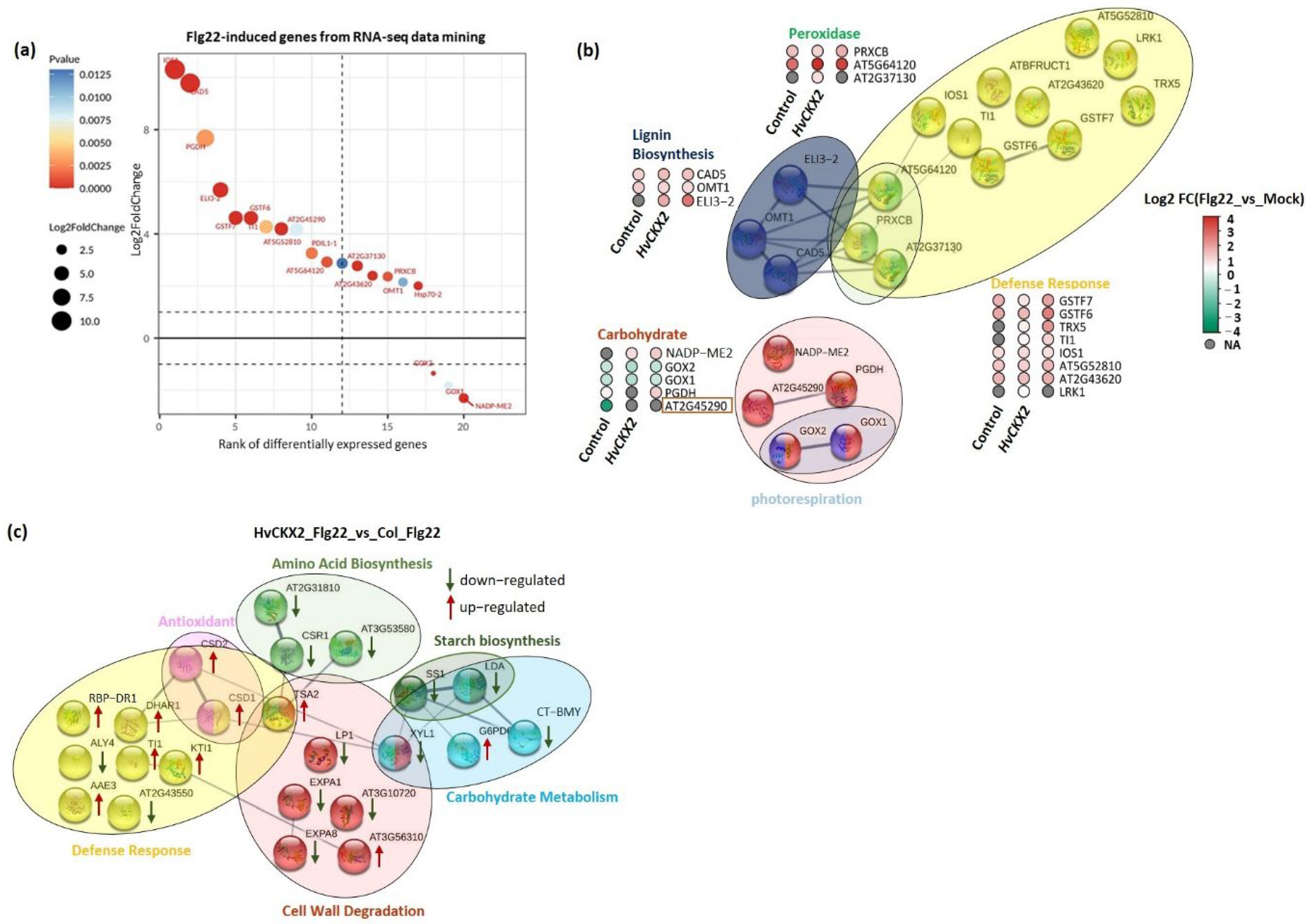 Plants 11 02123 g007