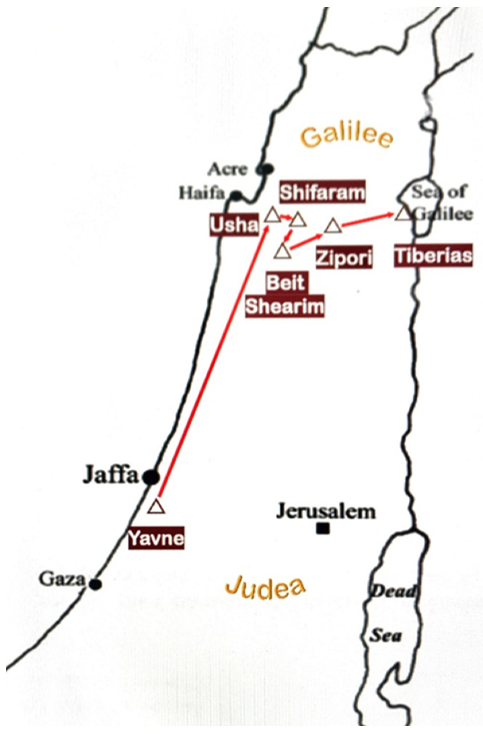 Plants 11 02124 g004