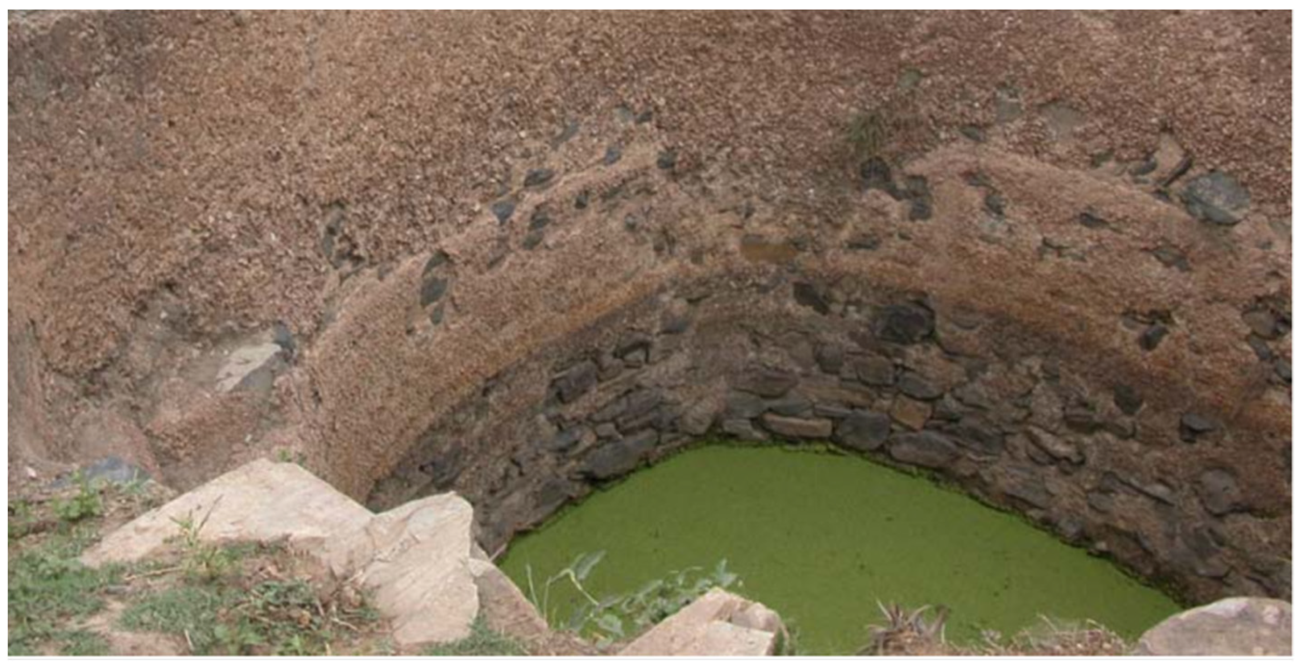 Plants 11 02124 g006