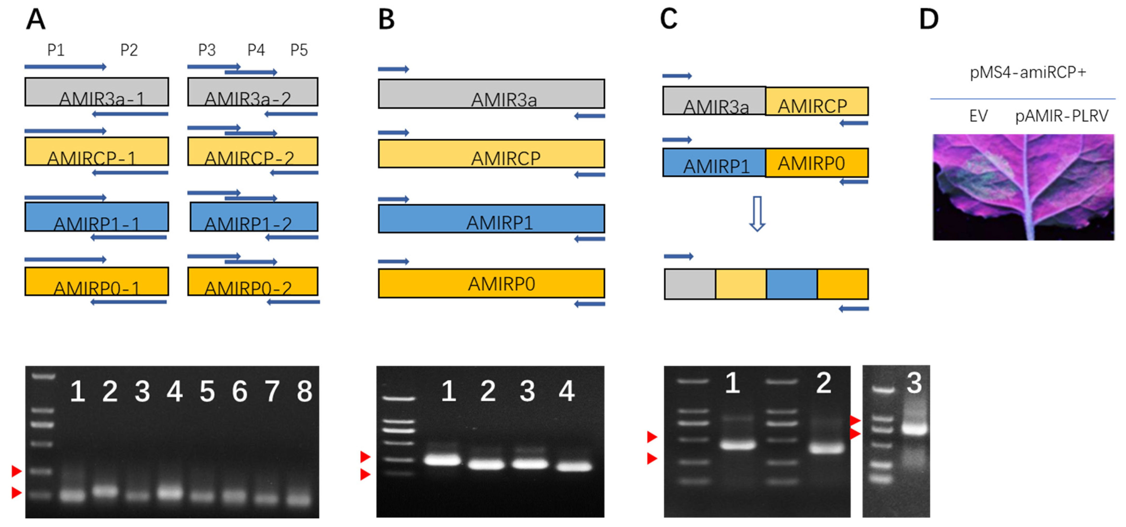 Plants 11 02125 g002