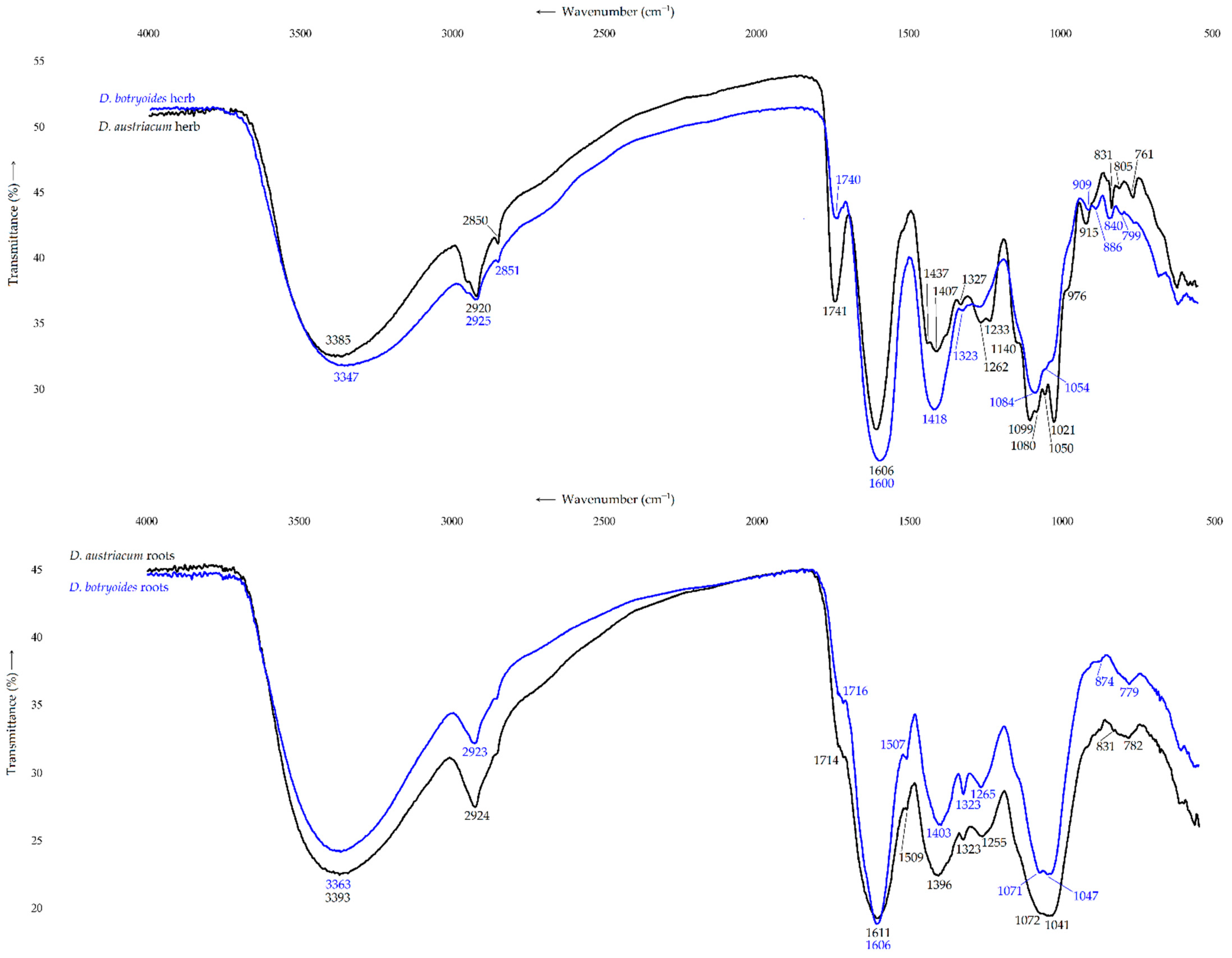 Plants 11 02126 g004