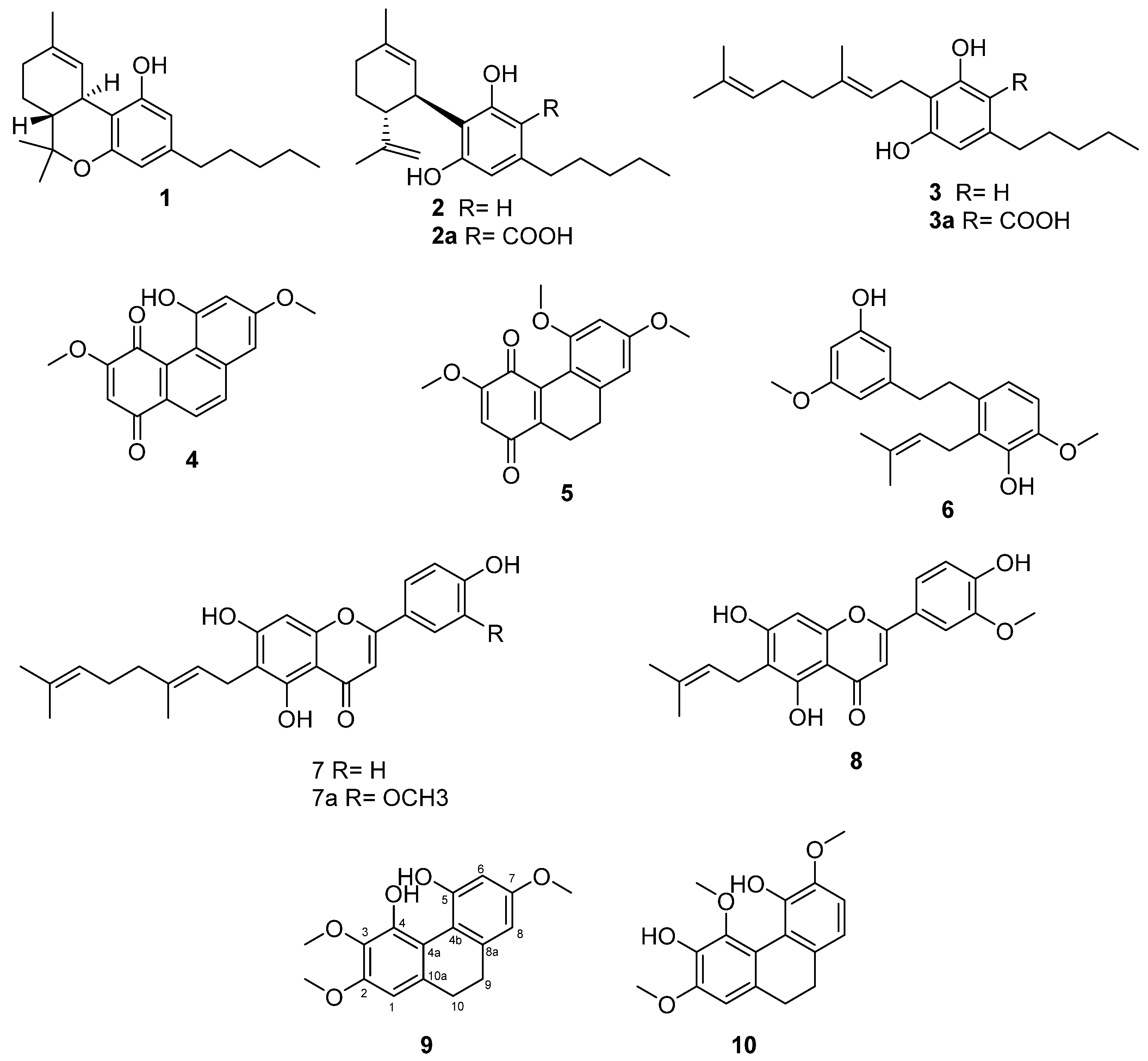 Plants 11 02130 g001
