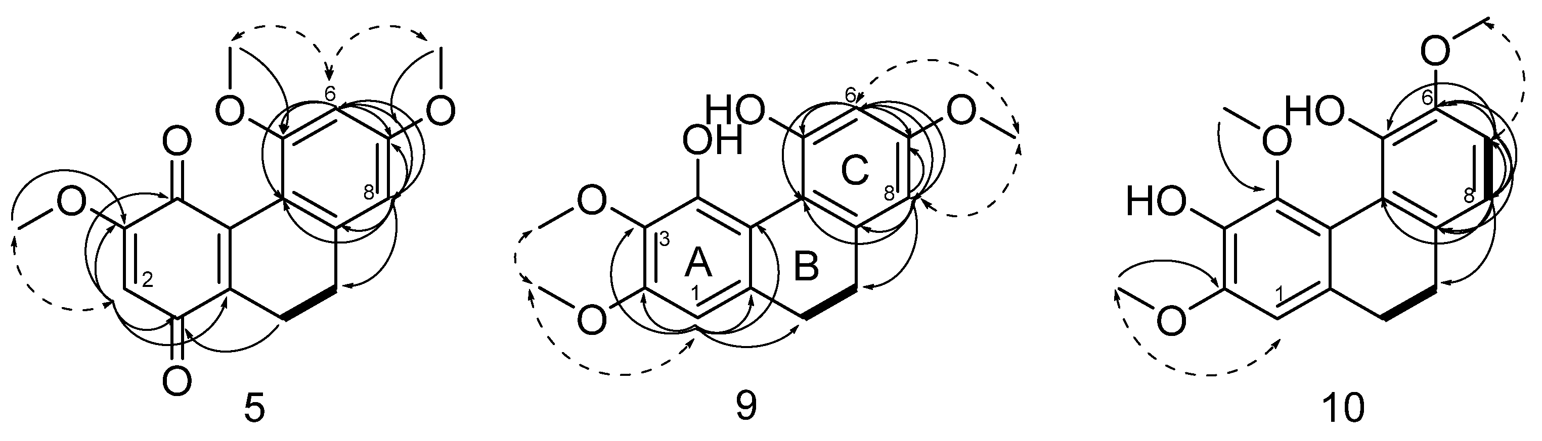 Plants 11 02130 g002