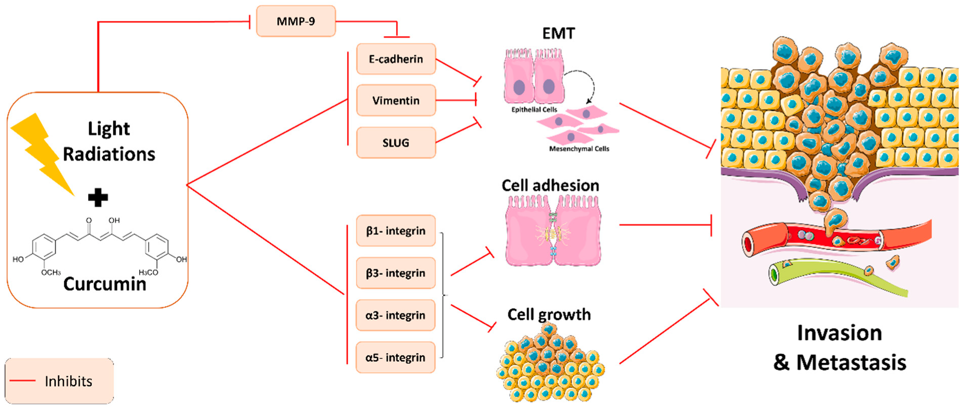 Plants 11 02137 g002 Plants 11 02137 g002