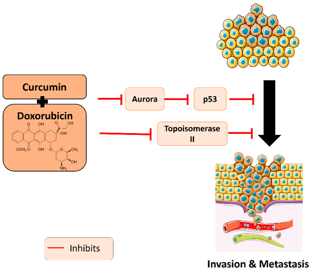 Plants 11 02137 g003 Plants 11 02137 g003
