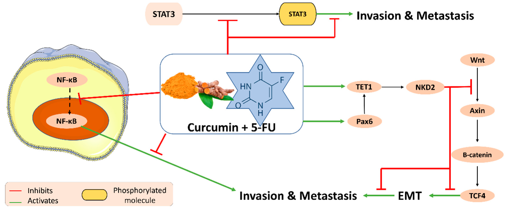 Plants 11 02137 g004 Plants 11 02137 g004