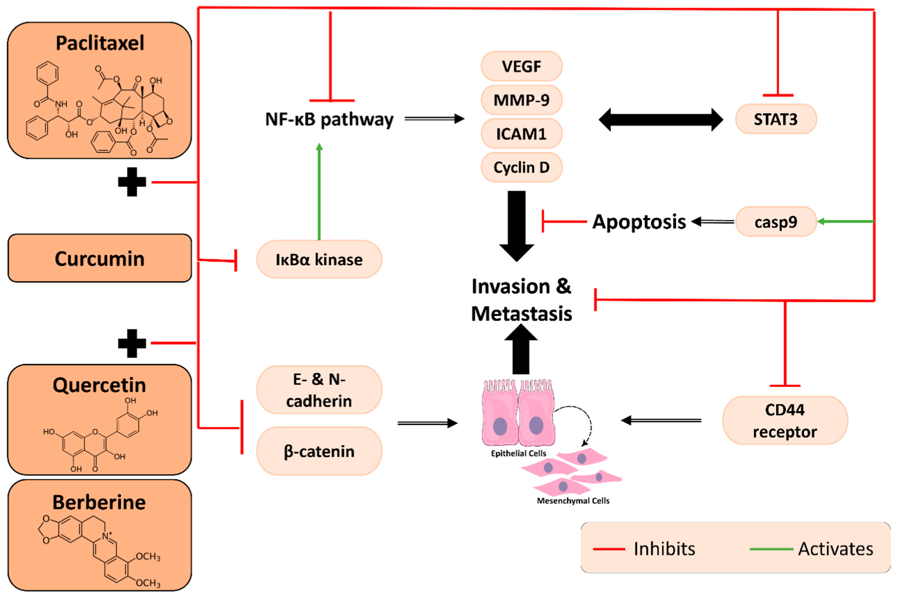 Plants 11 02137 g005 Plants 11 02137 g005