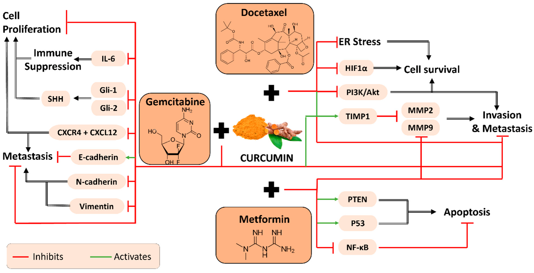 Plants 11 02137 g006 Plants 11 02137 g006