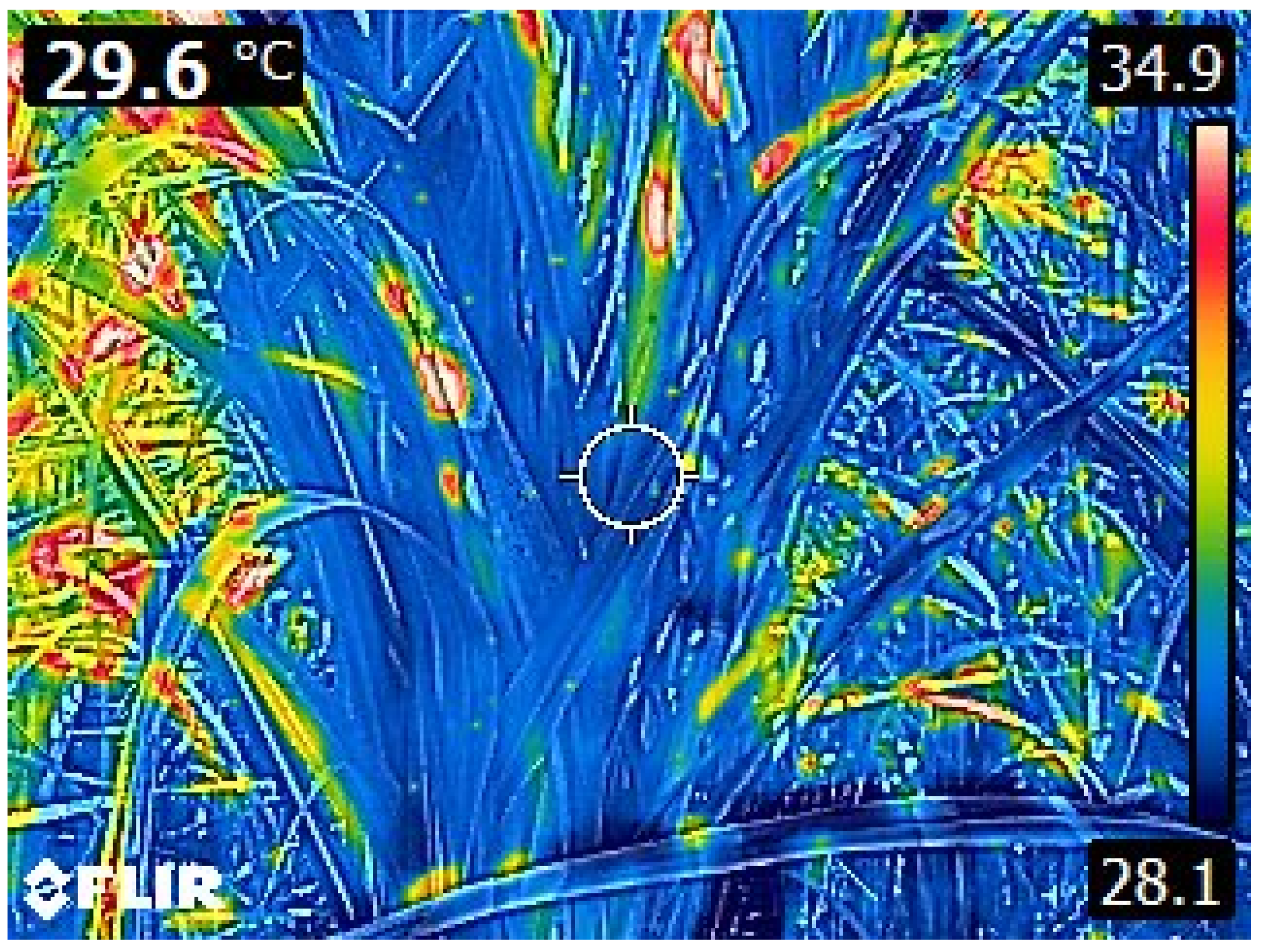 Plants 11 02139 g002 Plants 11 02139 g002