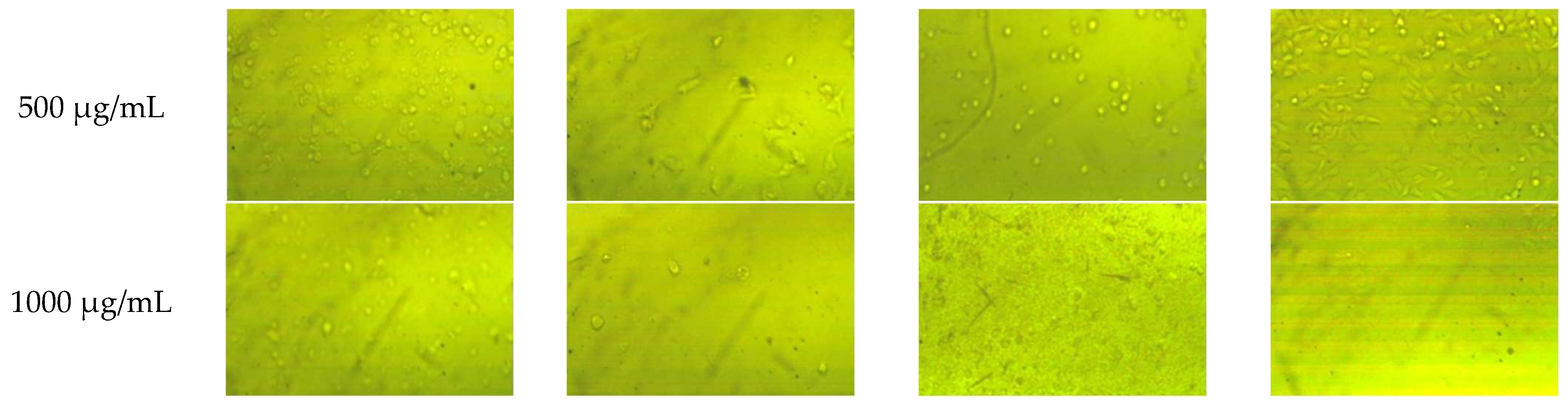 Plants 11 02140 g003b Plants 11 02140 g003b