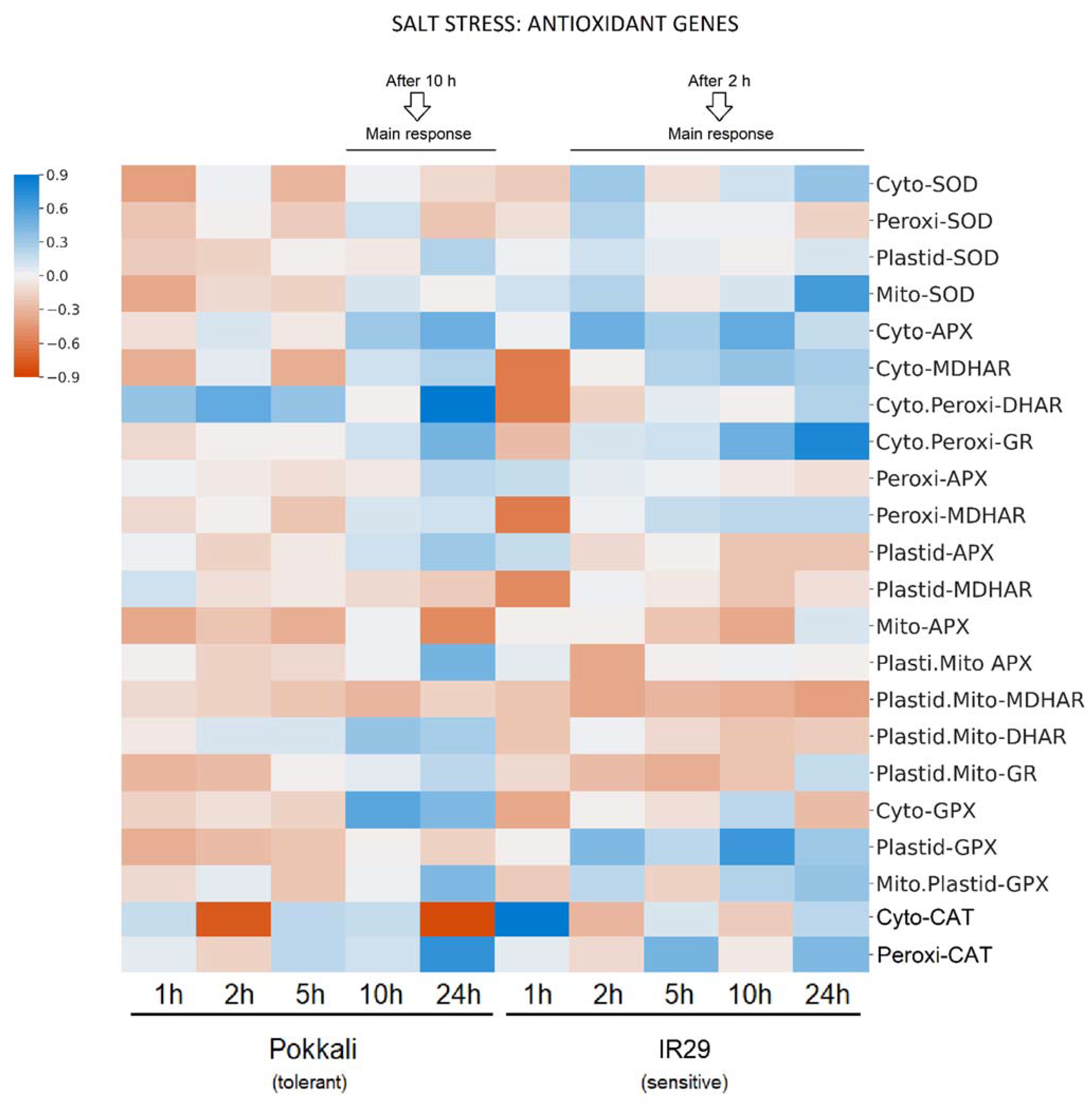 Plants 11 02145 g003 Plants 11 02145 g003