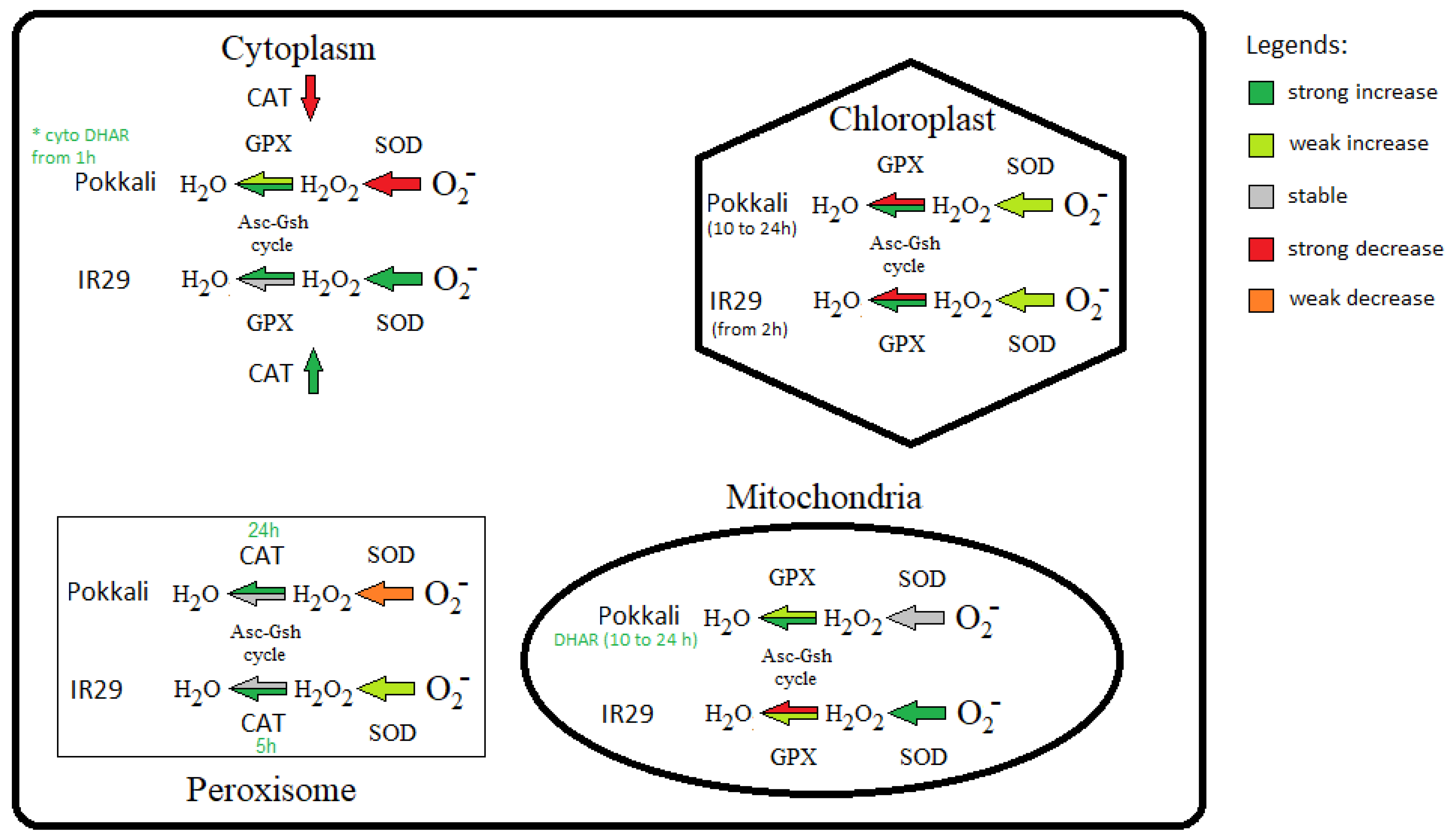 Plants 11 02145 g004 Plants 11 02145 g004
