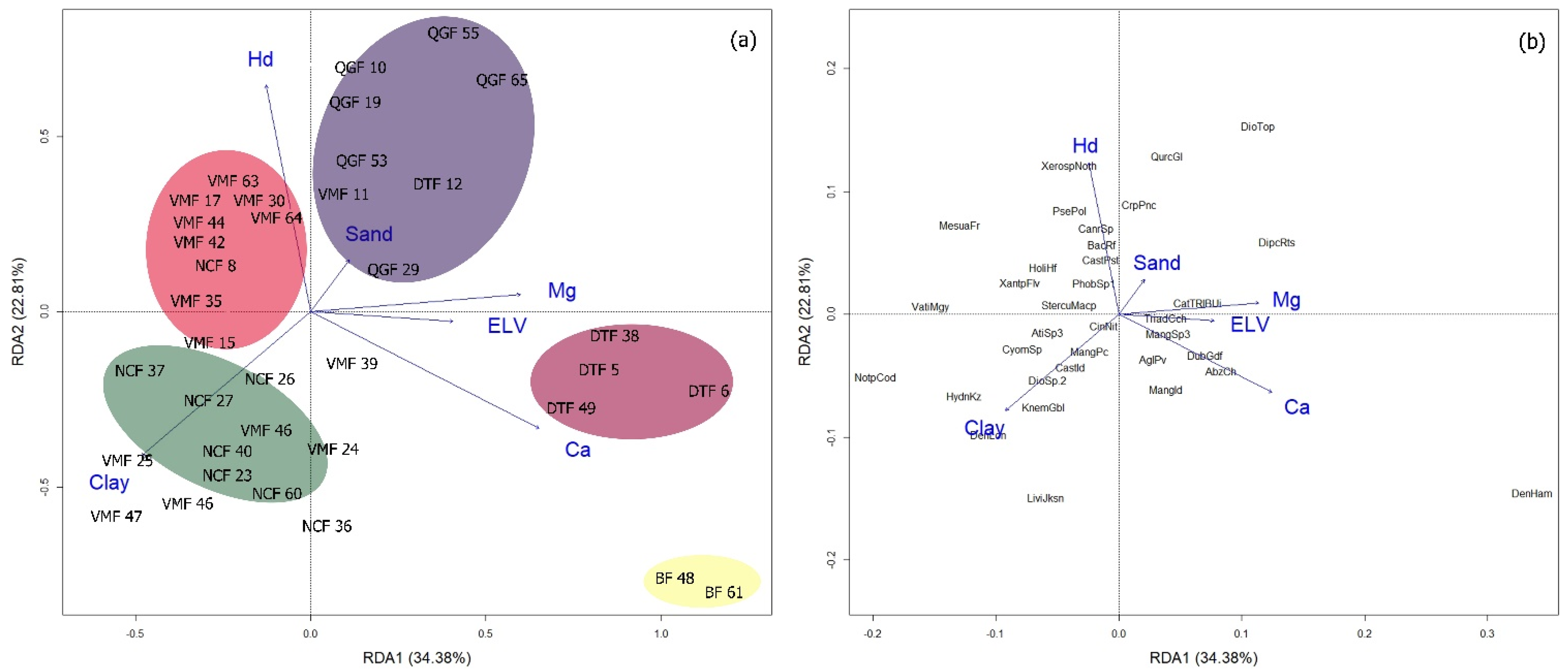 Plants 11 02180 g002