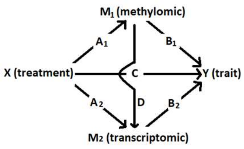 Plants 11 02190 g002 Plants 11 02190 g002
