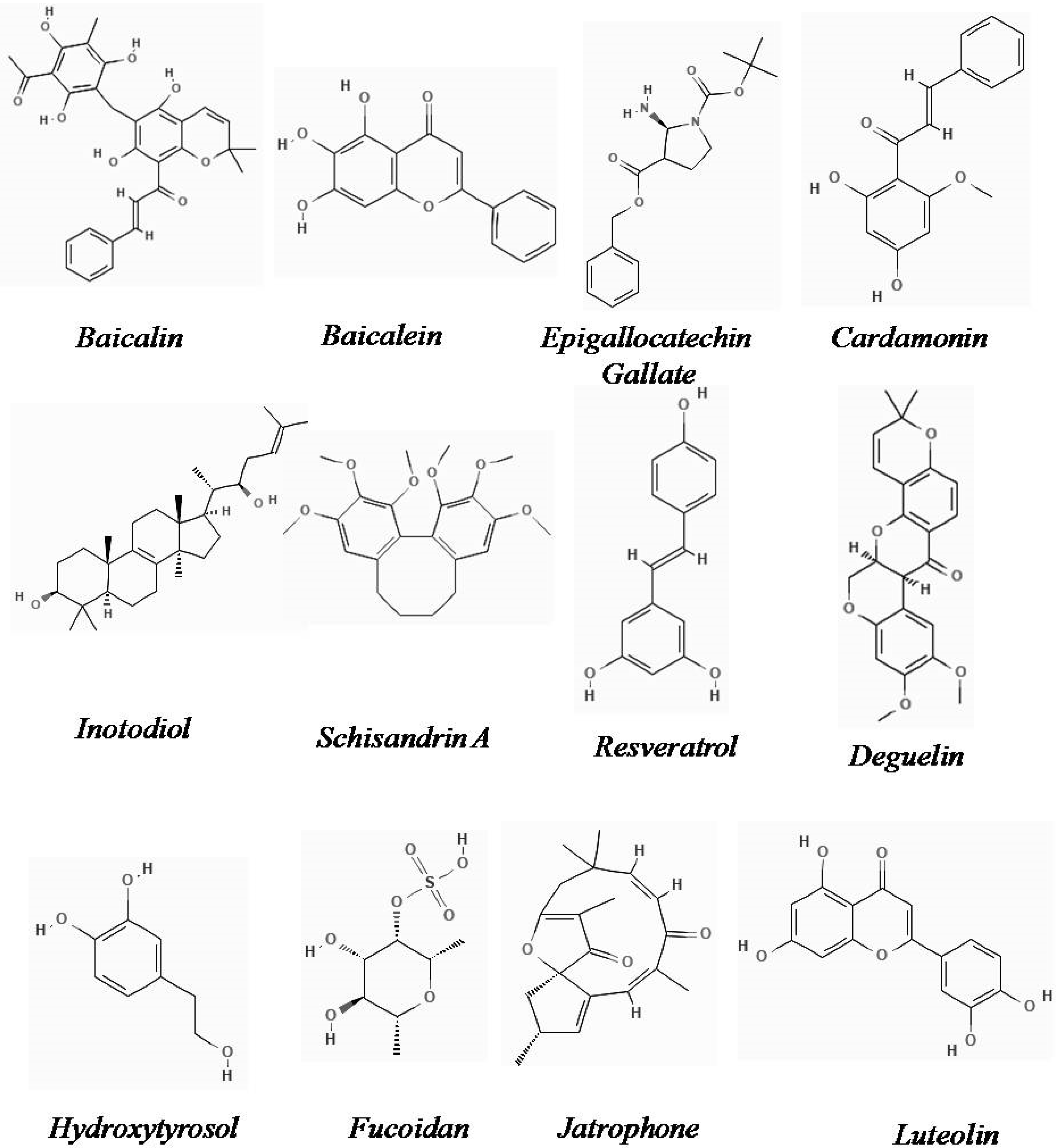 Plants 11 02191 g001b