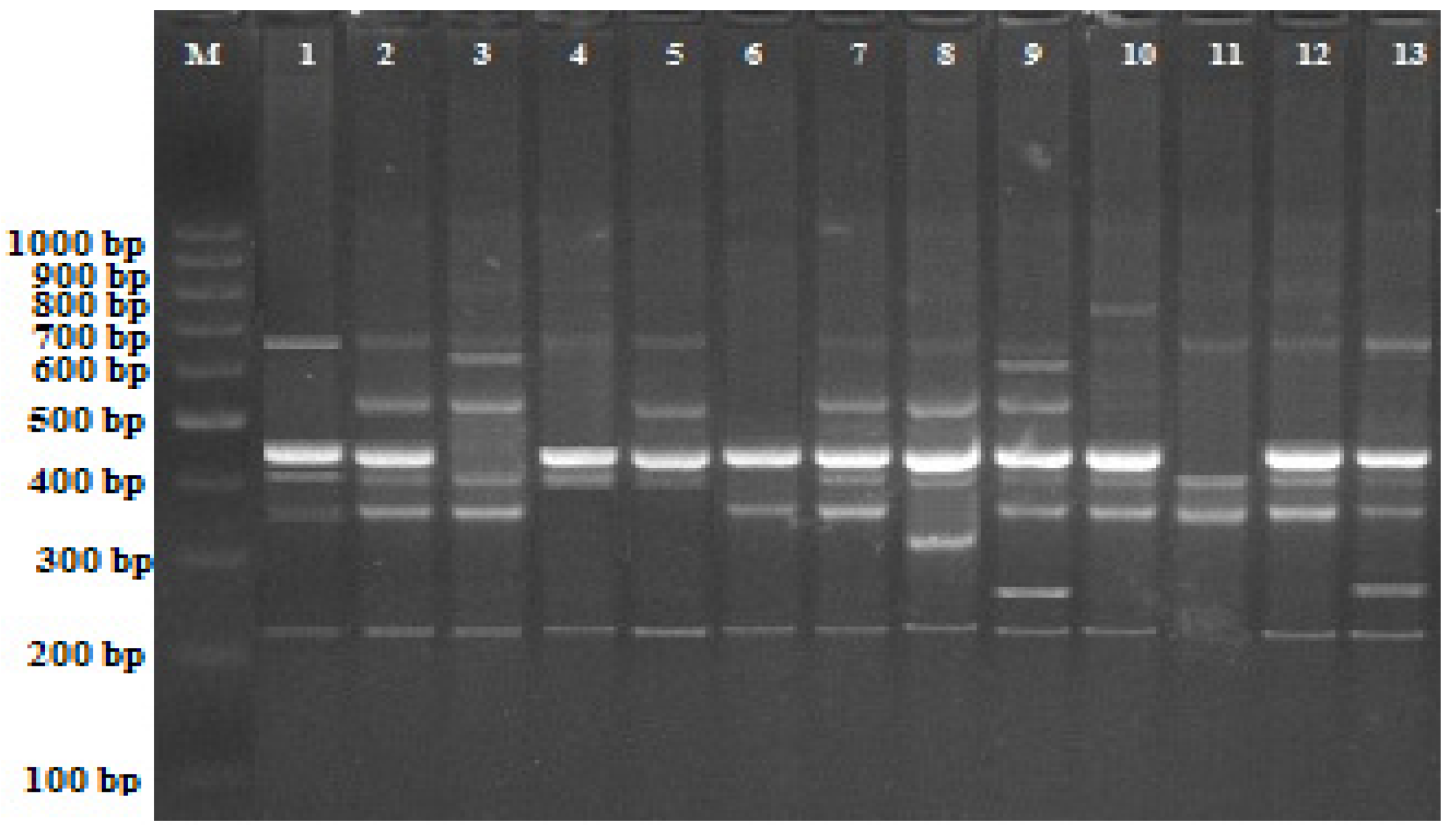 Plants 11 02193 g001