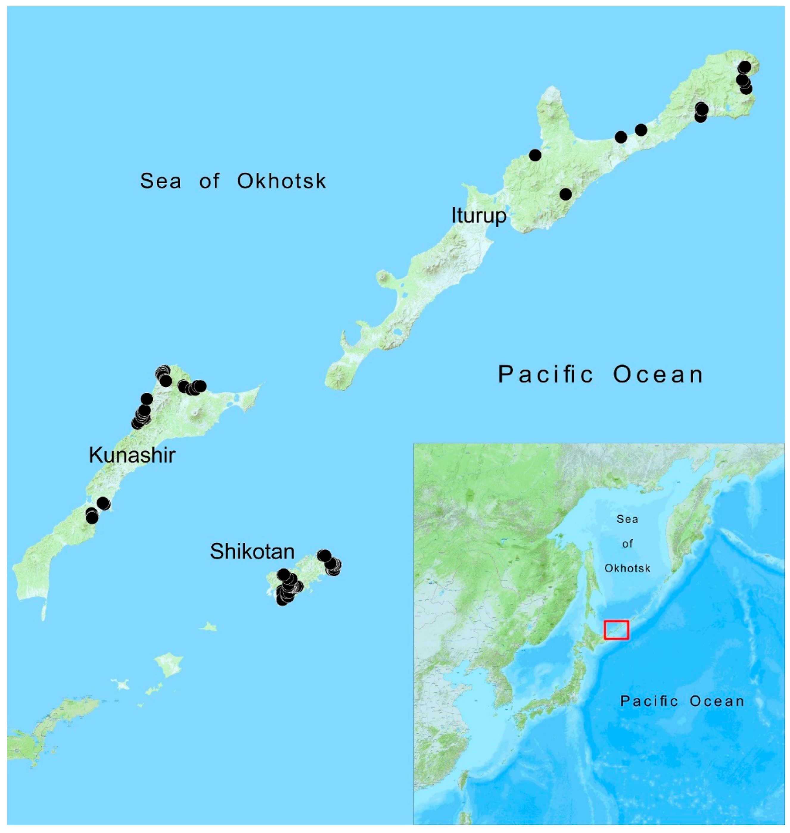 Plants 11 02200 g004 Plants 11 02200 g004