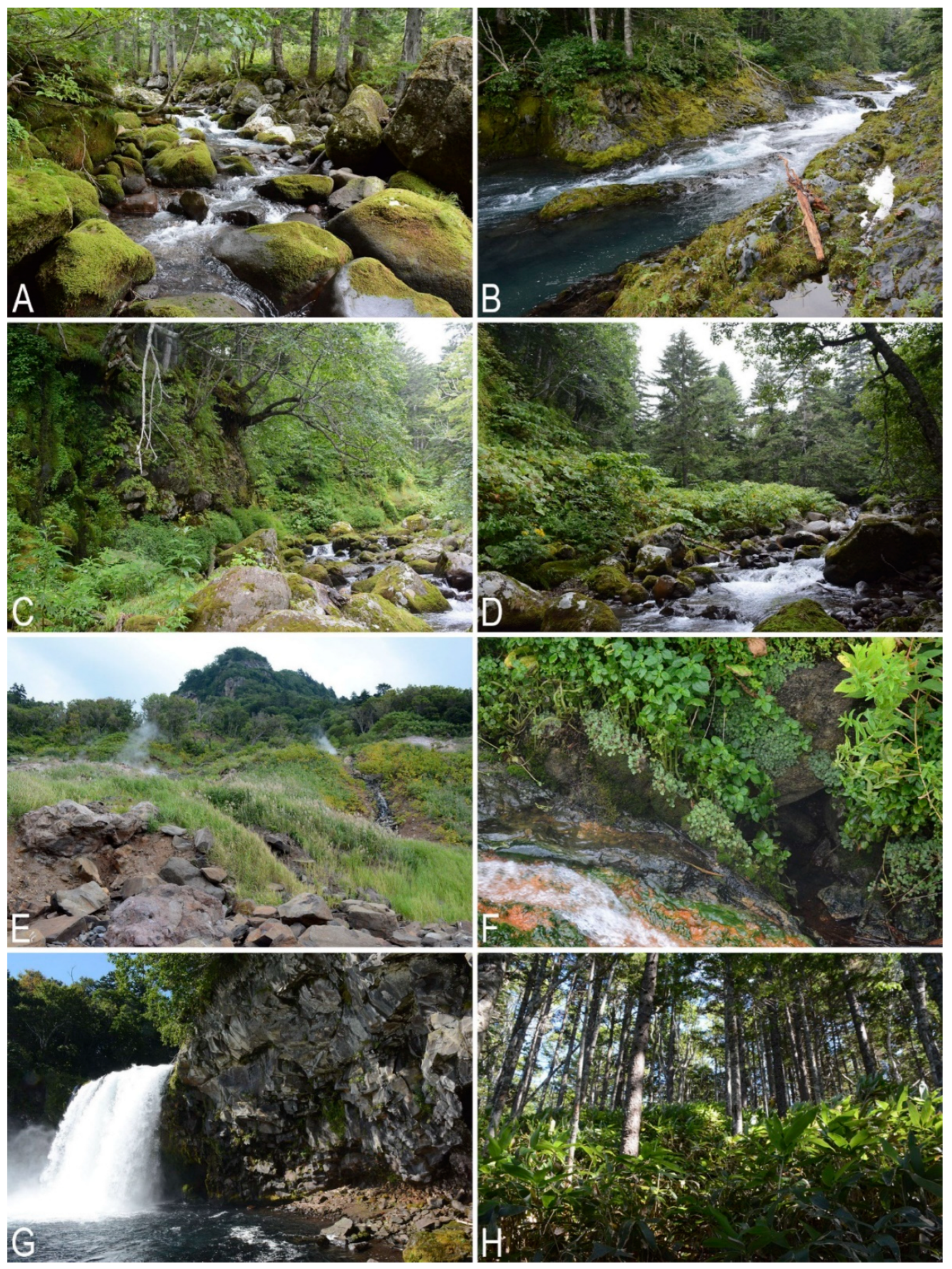 Plants 11 02200 g005 Plants 11 02200 g005