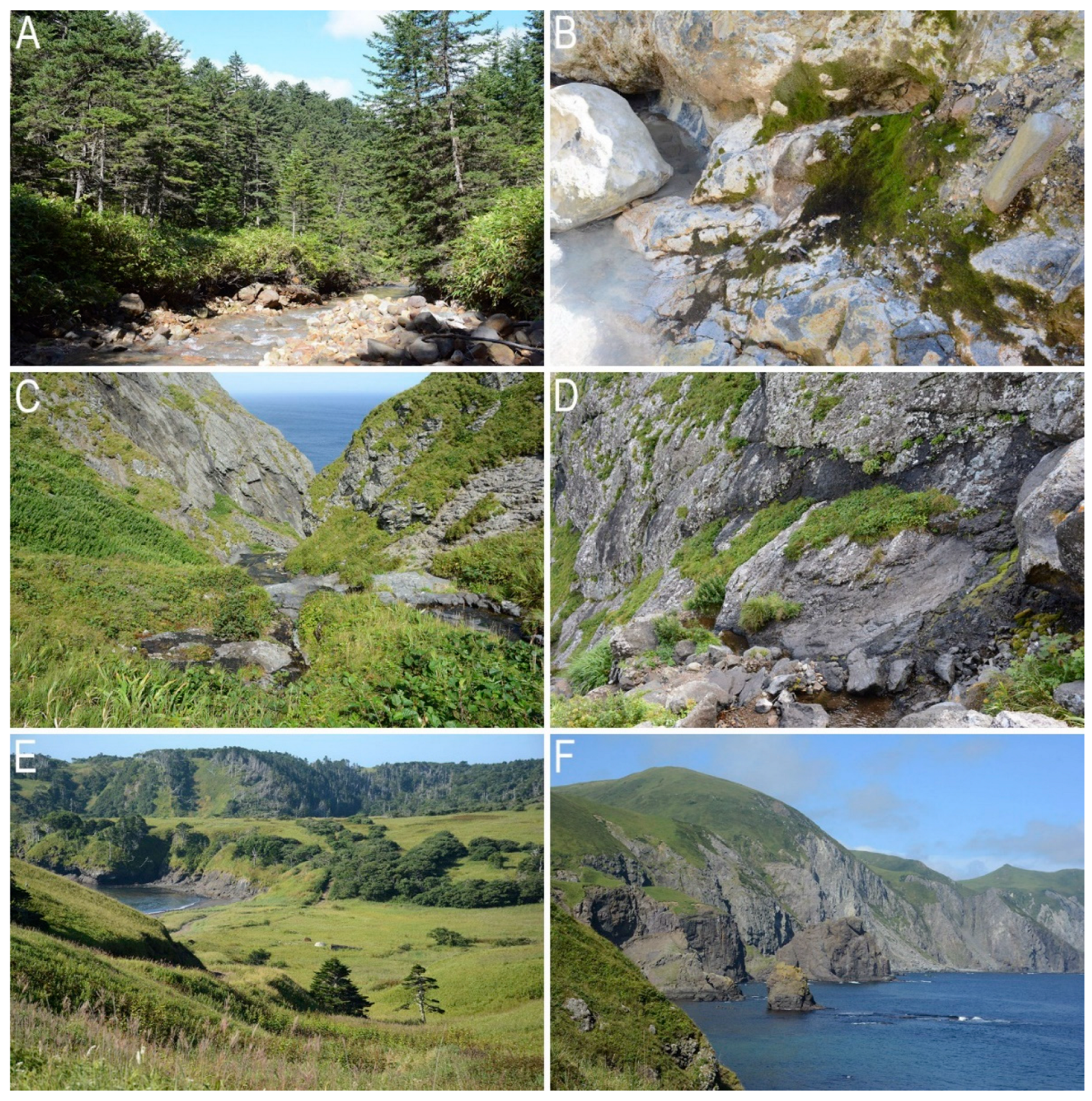 Plants 11 02200 g006 Plants 11 02200 g006