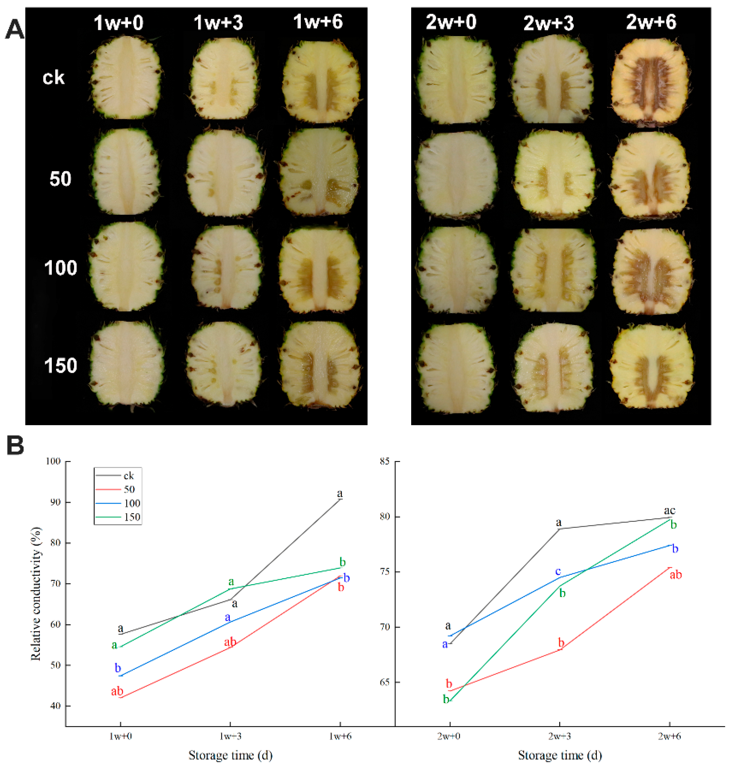 Plants 11 02215 g001
