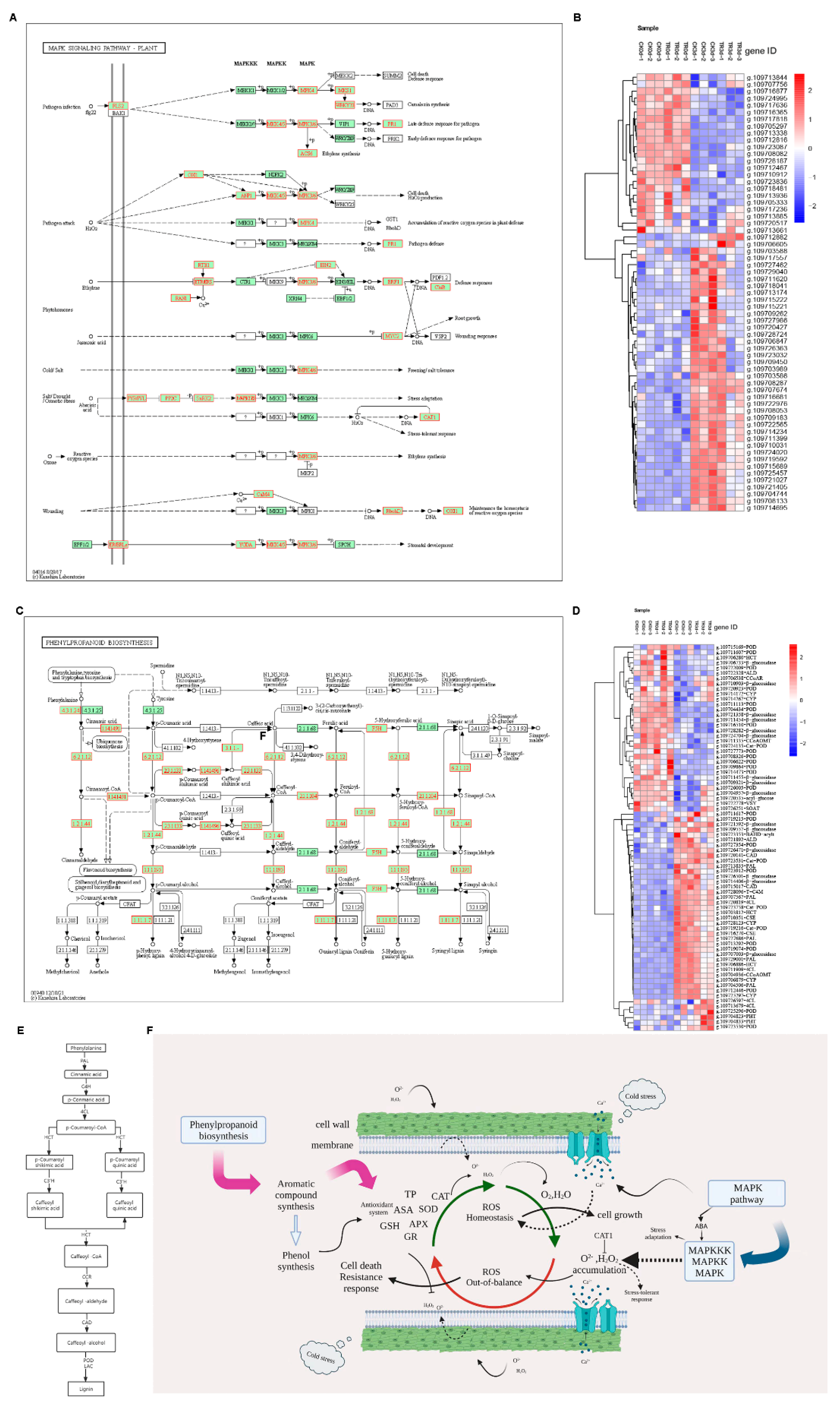 Plants 11 02215 g010