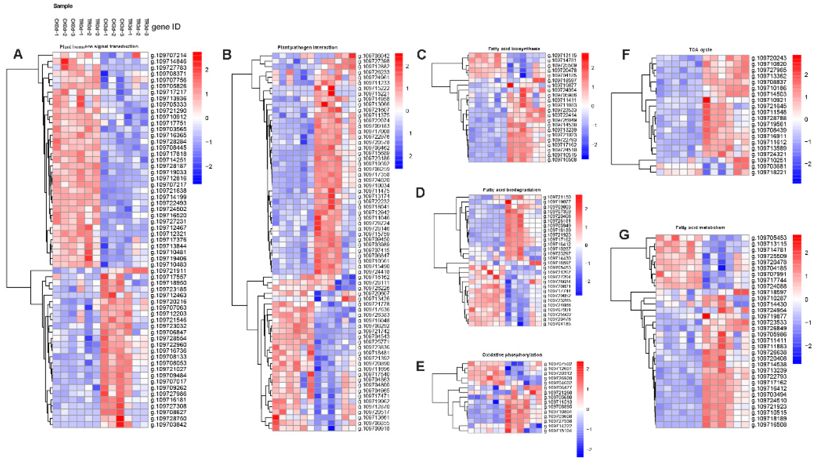 Plants 11 02215 g011