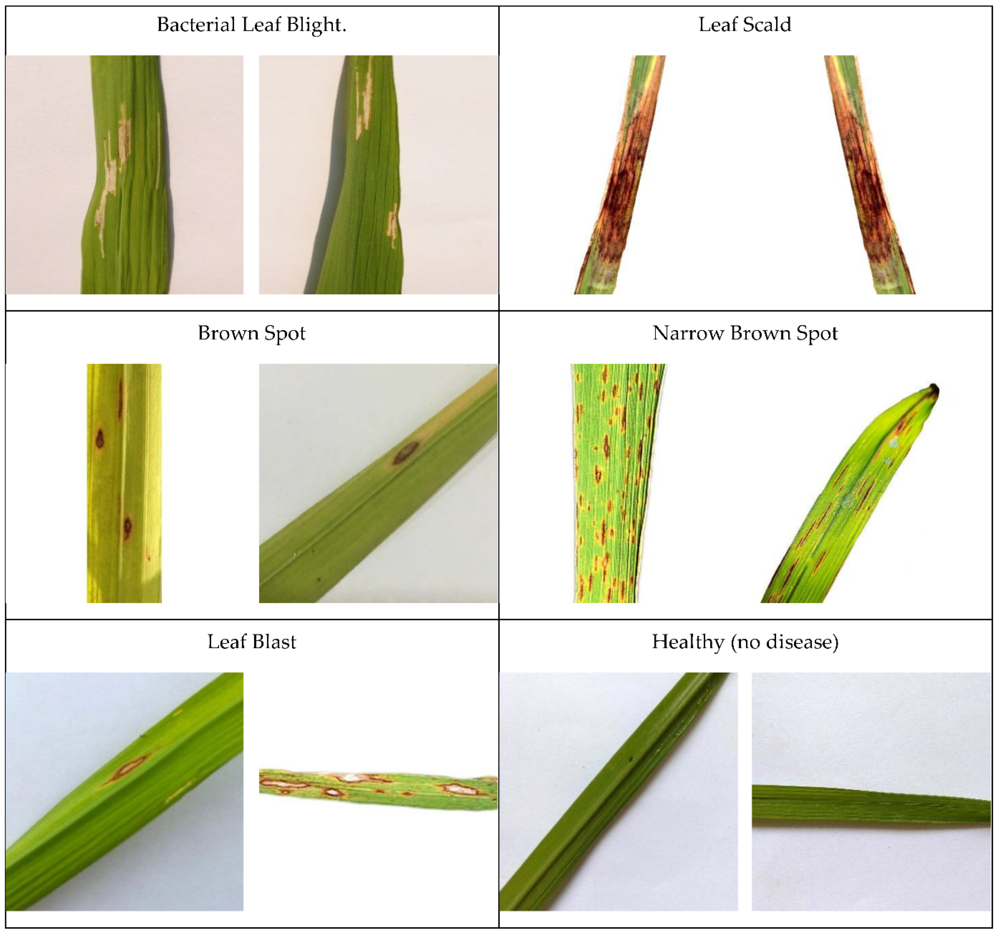 Plants 11 02230 g003